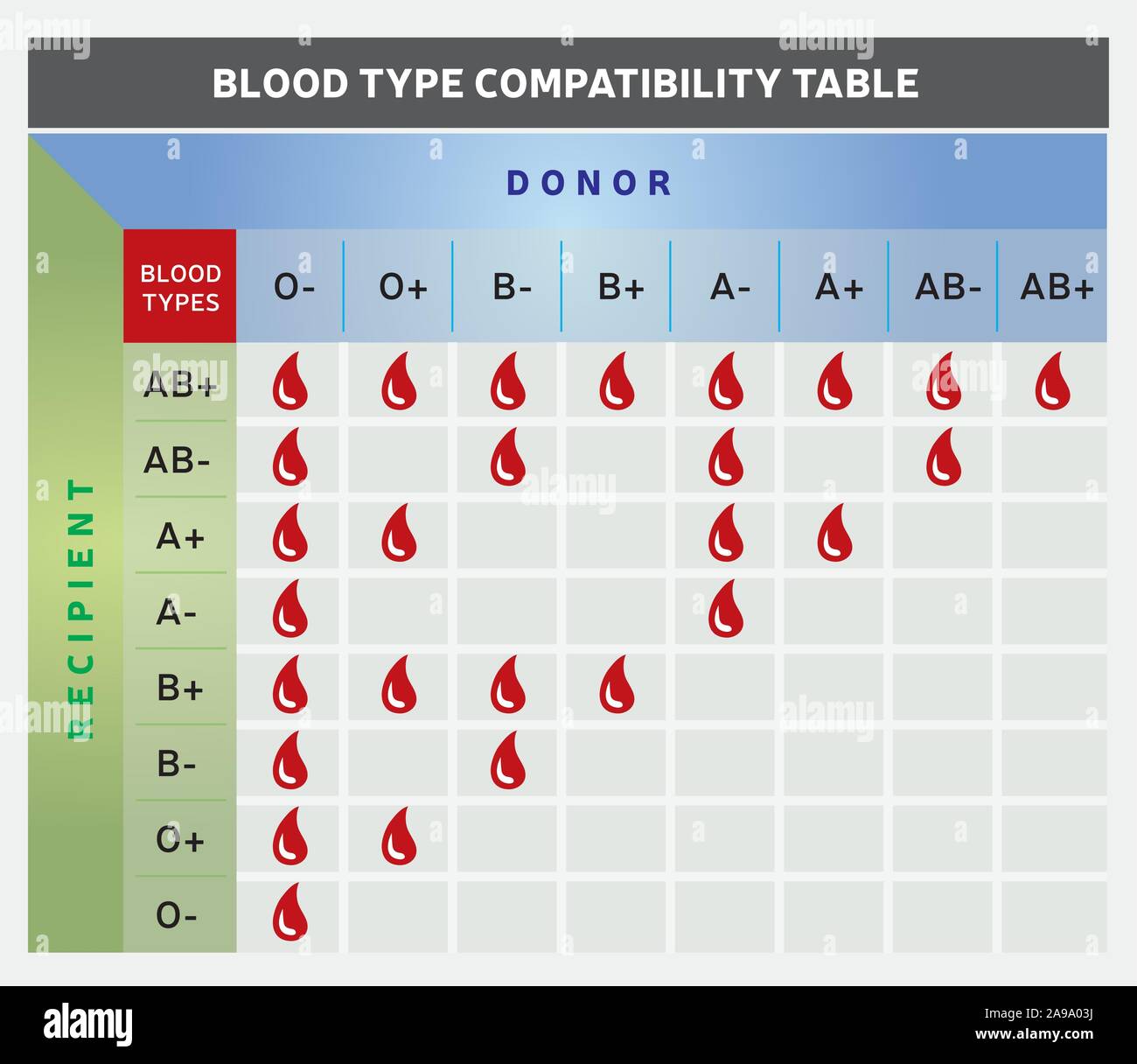Blood Type Compatibility Table Chart With Donor And Recipient Groups Stock Vector Image Art