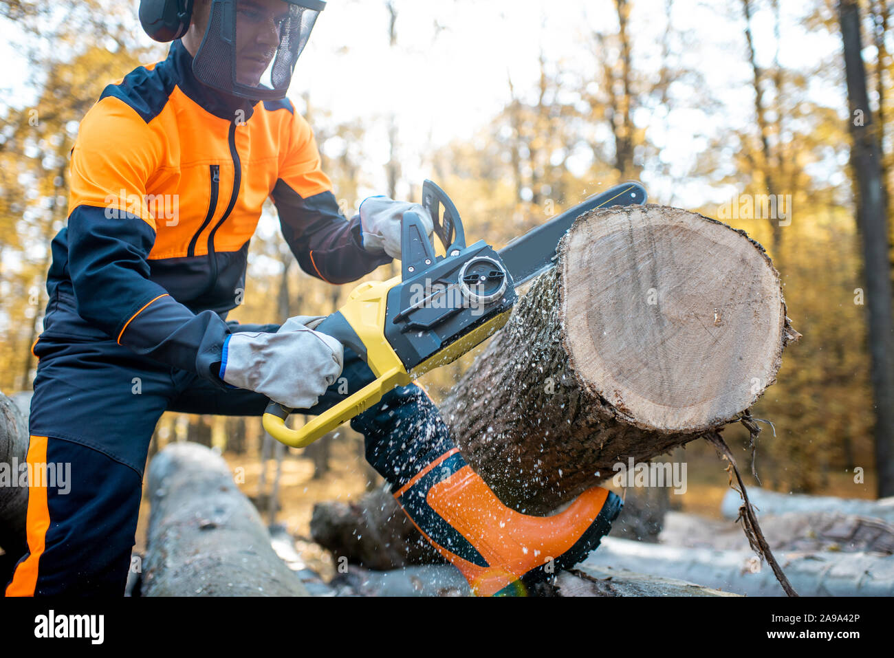 Log cutter hi-res stock photography and images - Alamy