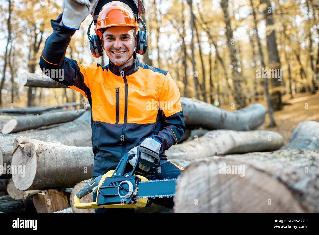 Portrait of a cheerful professional lumberjack in protective workwear standing with a chainsaw on a pile of logs in the forest Stock Photo