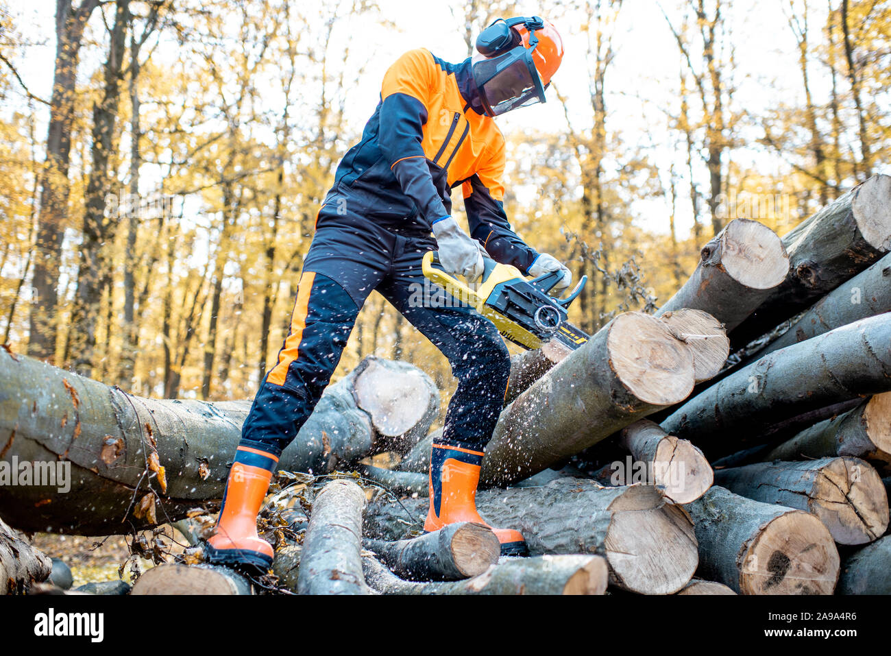 Wood cutter hi-res stock photography and images - Alamy