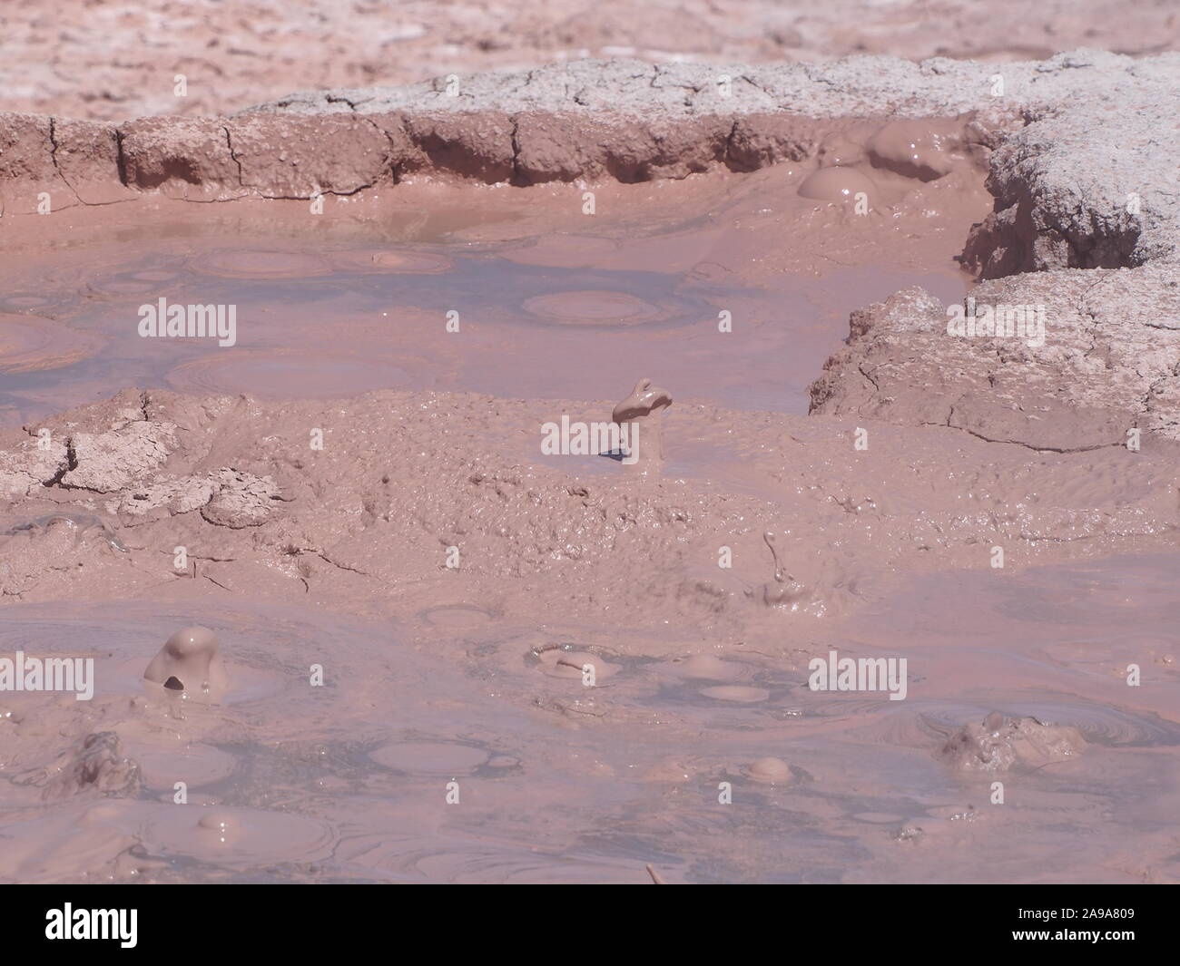 Geothermal bubbling mud at a thermal area in the Atacama Highlands in Chile Stock Photo