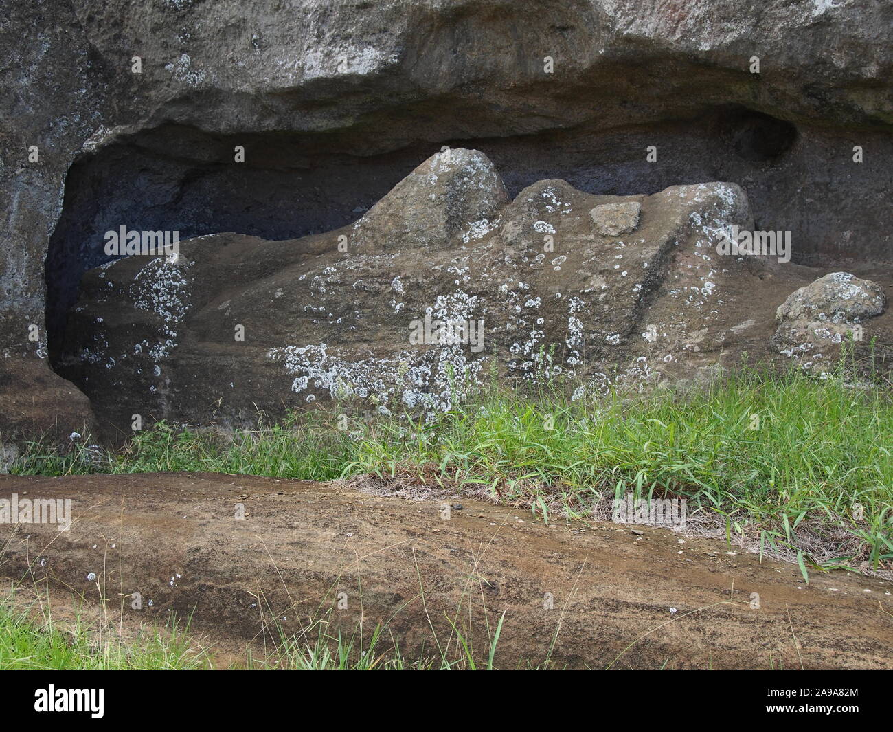 Rano Raraku Quarry, Rapa Nui (Easter Island) Moai statue in the process