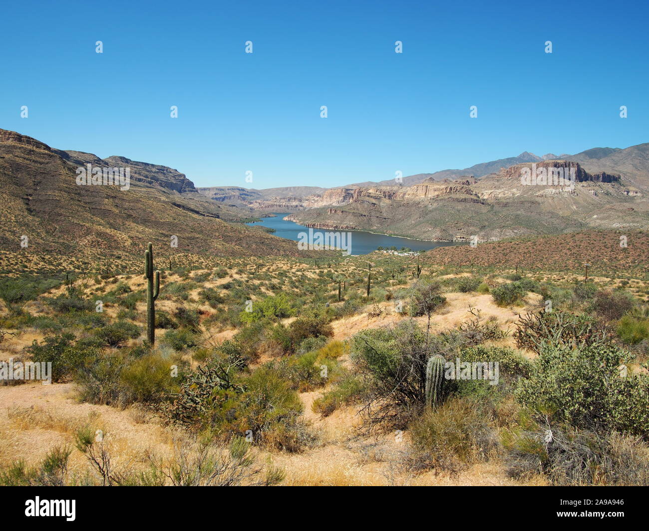 Usa arizona phoenix desert hi-res stock photography and images - Alamy