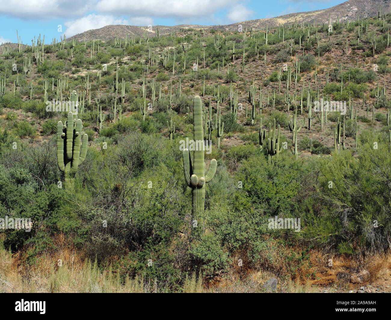 Spur cross ranch hi-res stock photography and images - Alamy