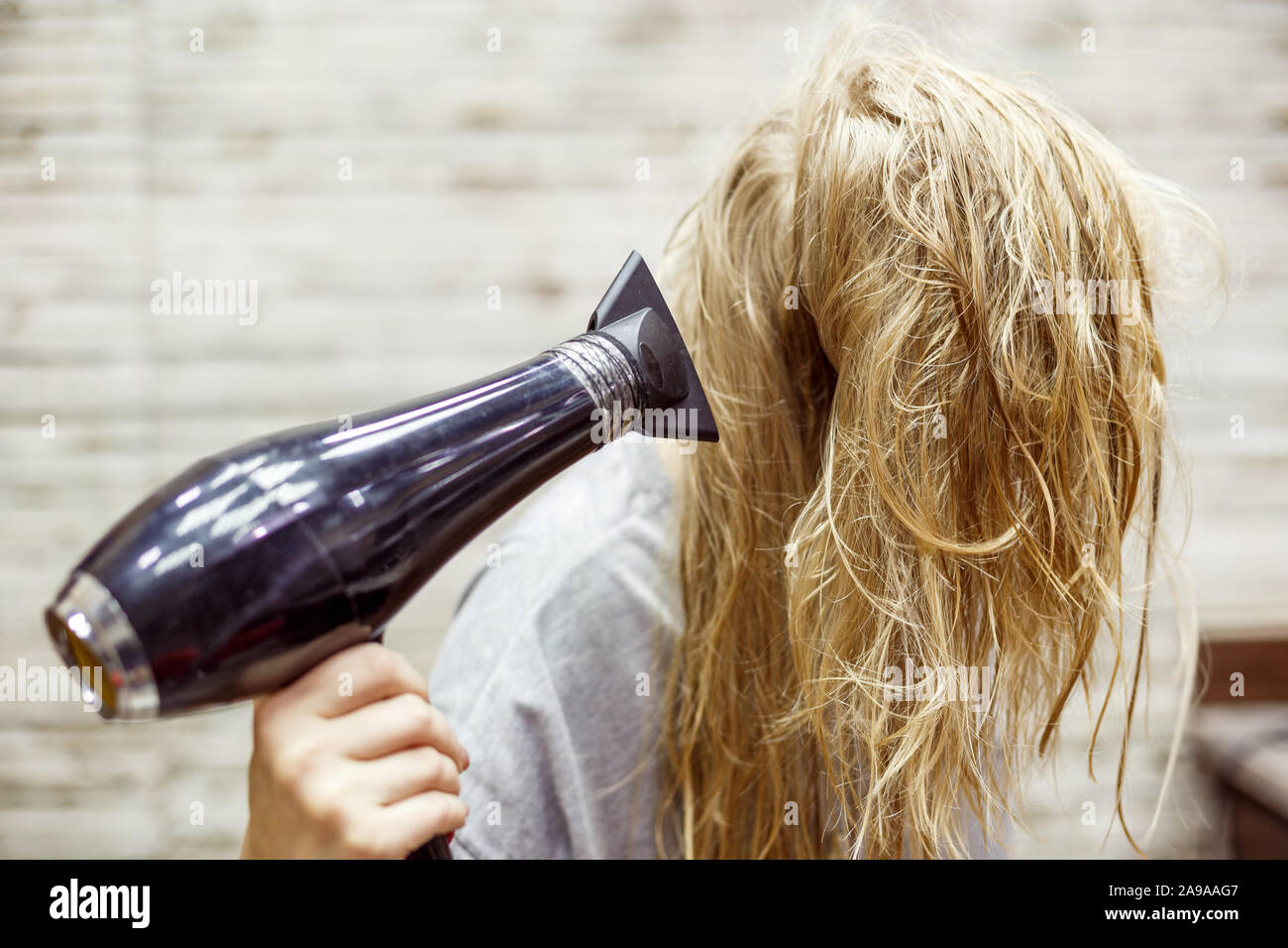 unidentified blonde woman dries wet hair with Hairdryer Stock Photo - Alamy