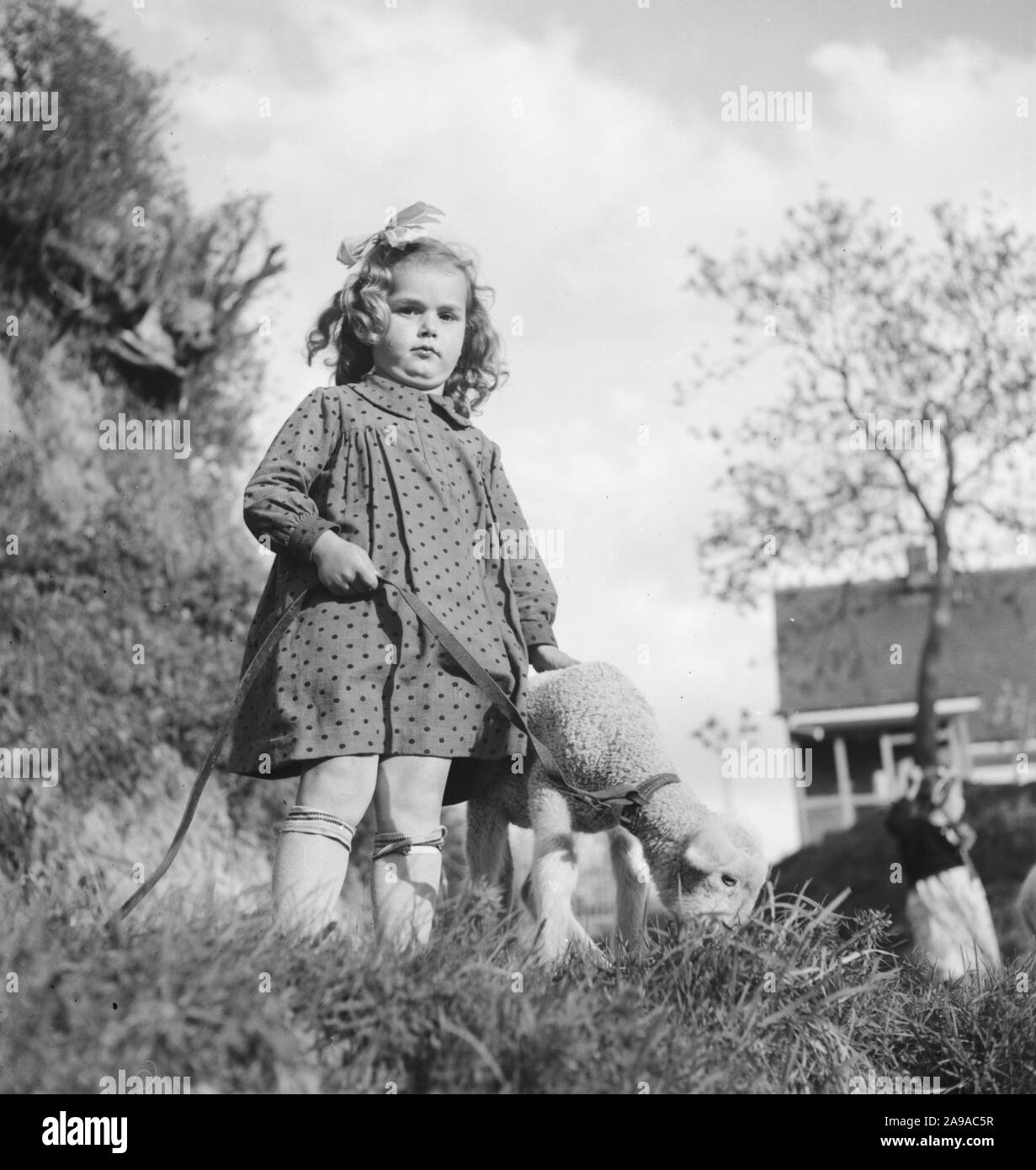 Summer in the countryside, Germany 1930s Stock Photo - Alamy