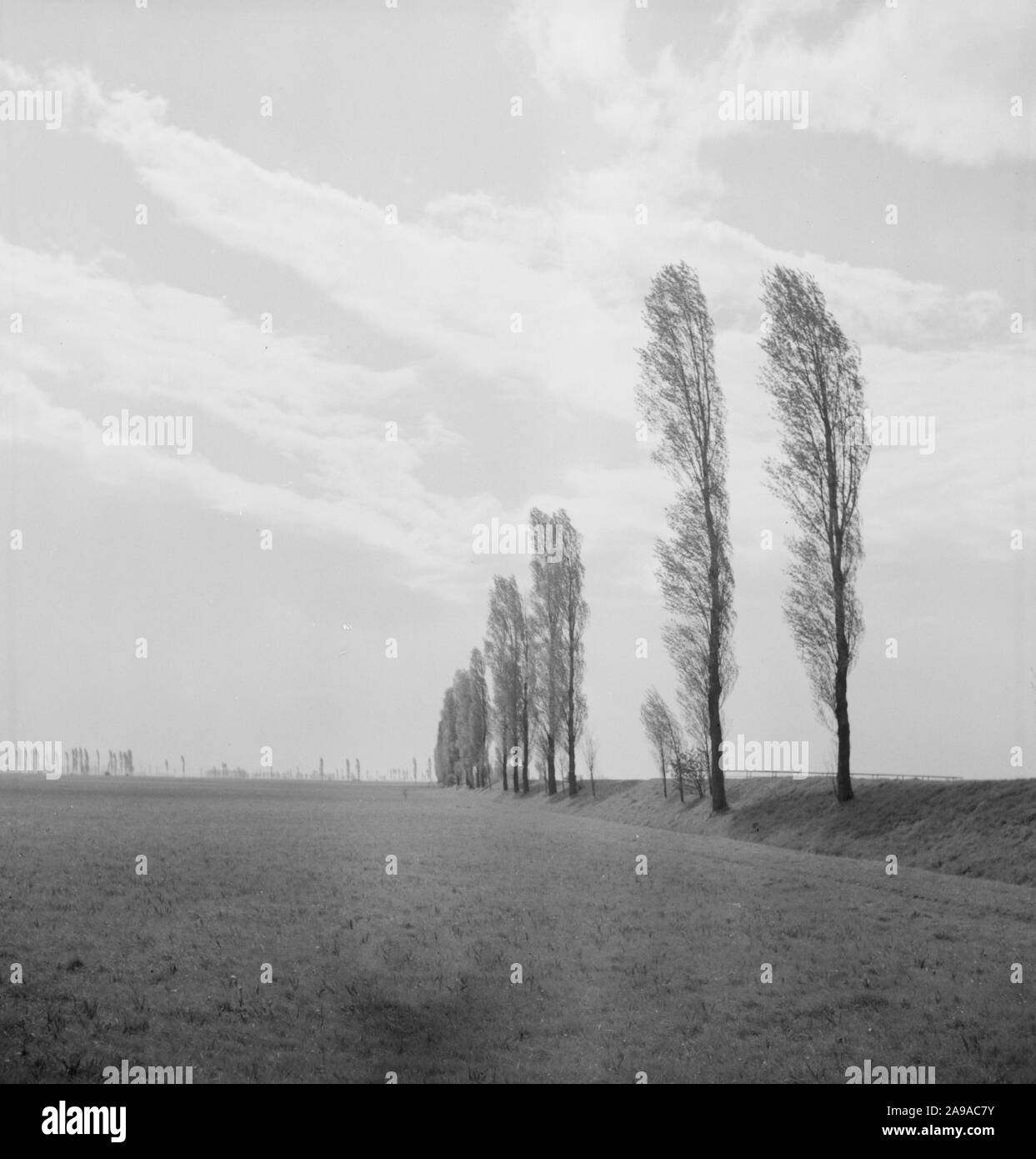 Summer in the countryside, Germany 1930s. Stock Photo