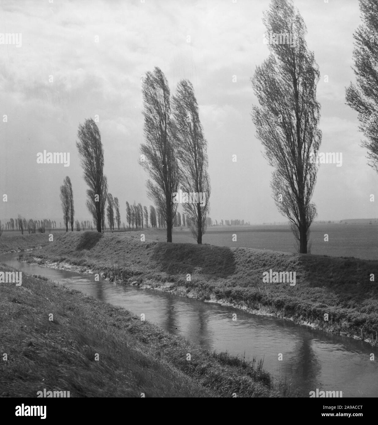 Summer in the countryside, Germany 1930s. Stock Photo