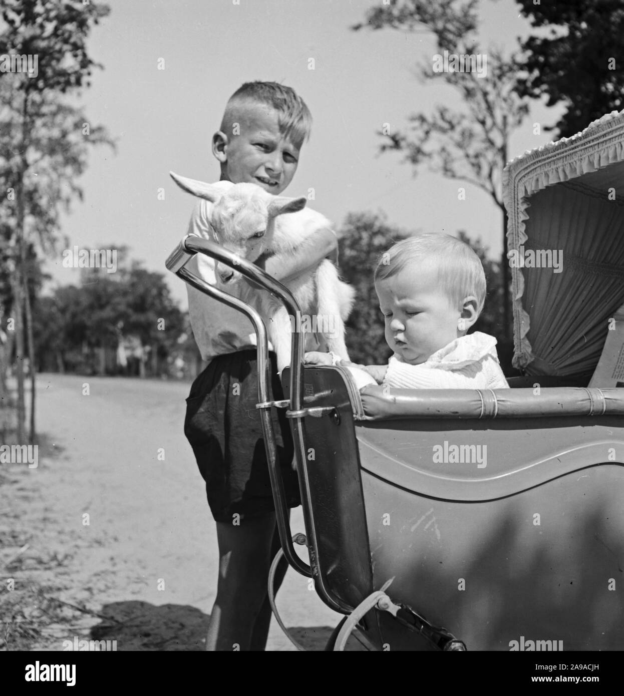 Little kid with playing with a lamb, Germany 1930s Stock Photo - Alamy