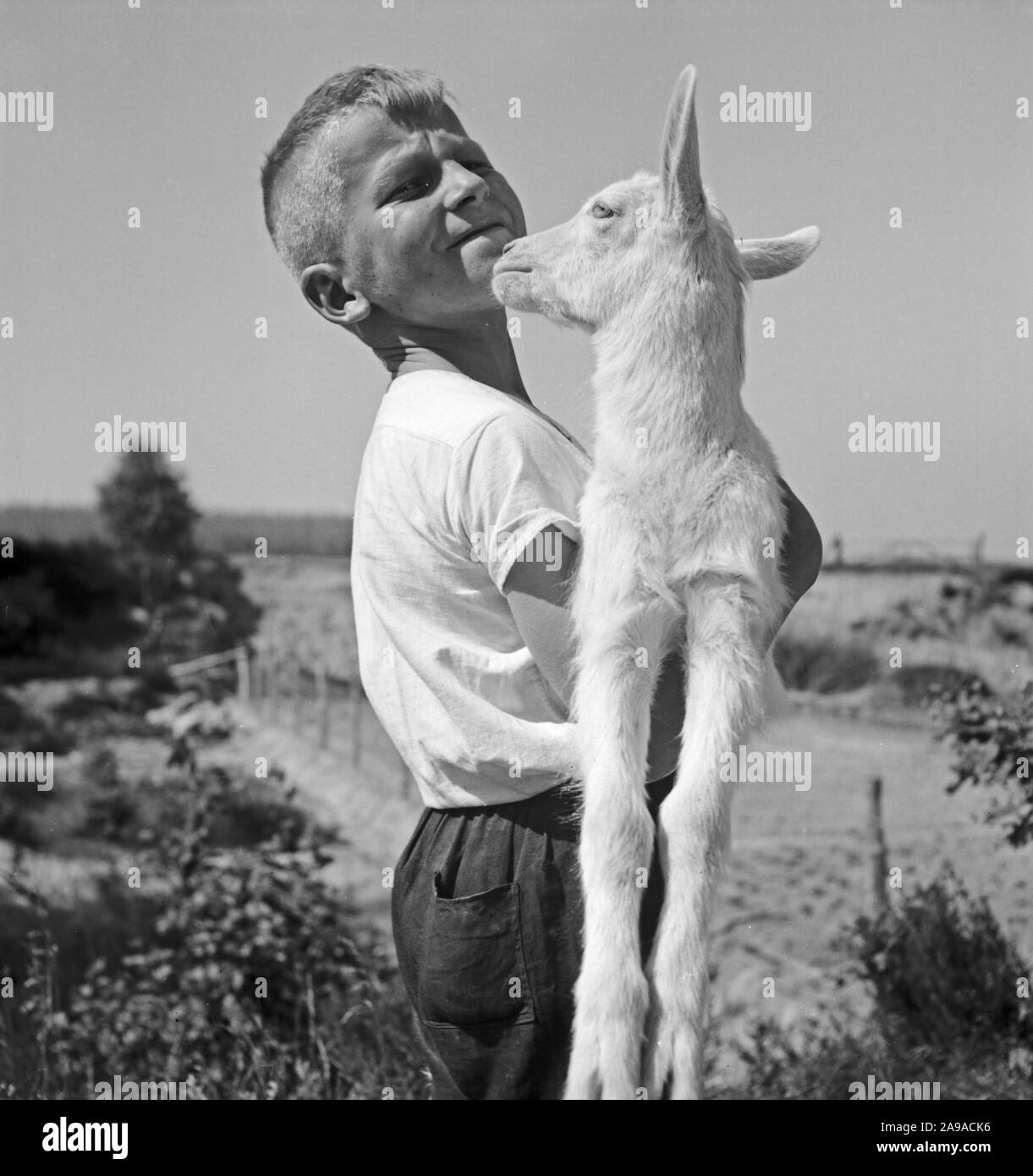 Little kid with playing with a lamb, Germany 1930s Stock Photo - Alamy