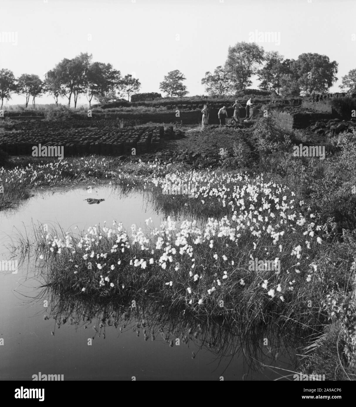 Summer in the countryside, Germany 1930s. Stock Photo