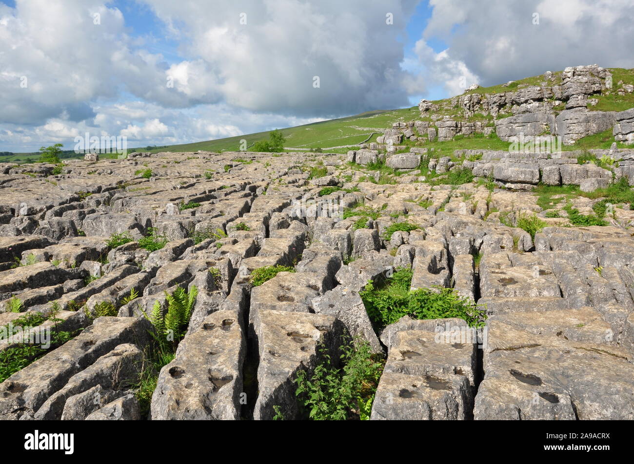 Limestone pavement, Malham Cove, North Yorkshire Stock Photo Alamy