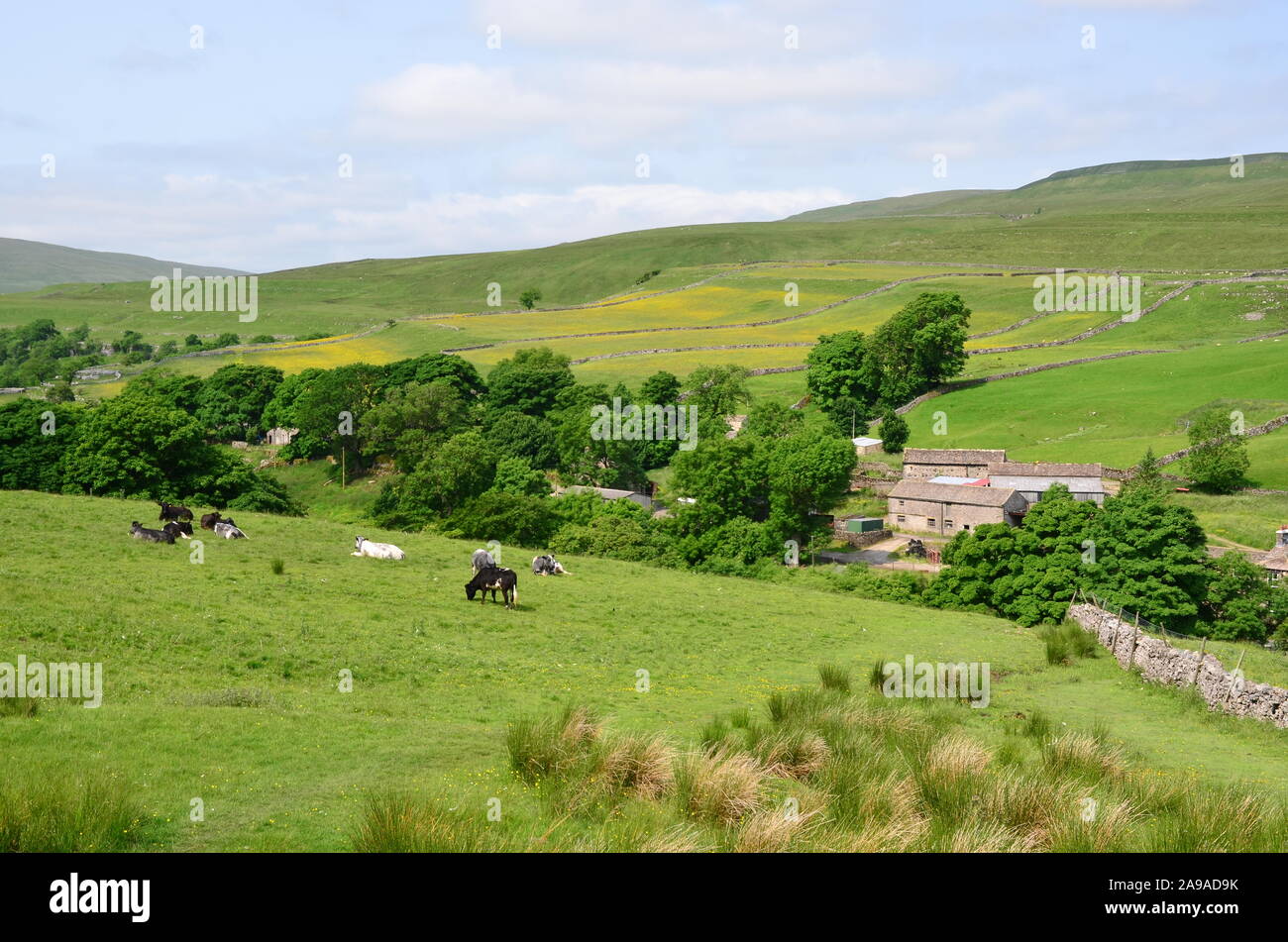 The hamlet of Cray, Upper Wharfedale, North Yorkshire Stock Photo