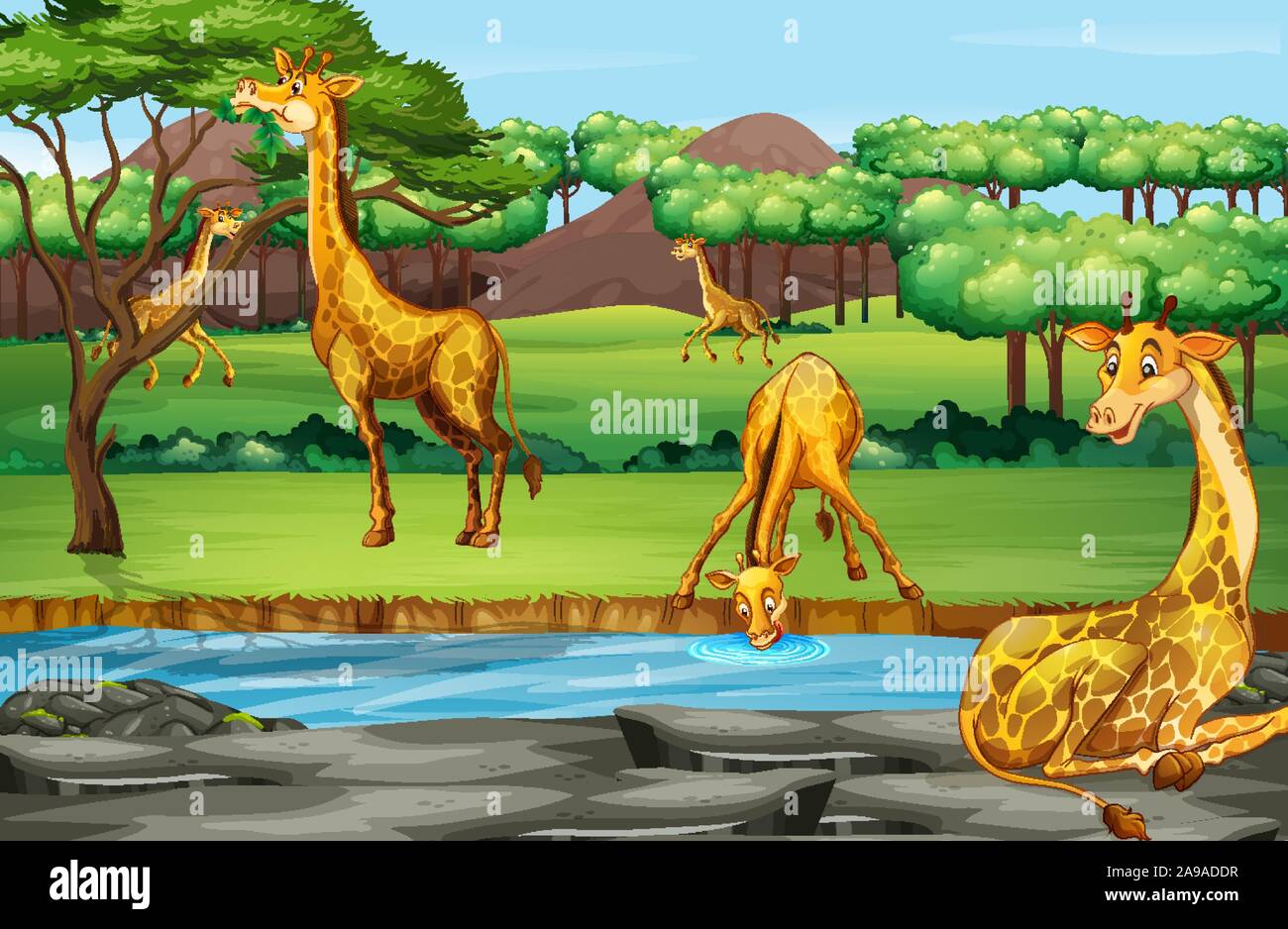 Scene with giraffes at the open zoo illustration Stock Vector Image ...