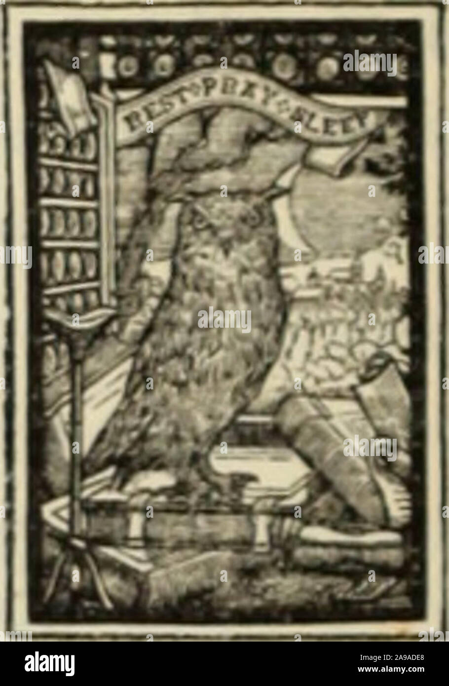 "The key to the family deed chest how to decipher and study old