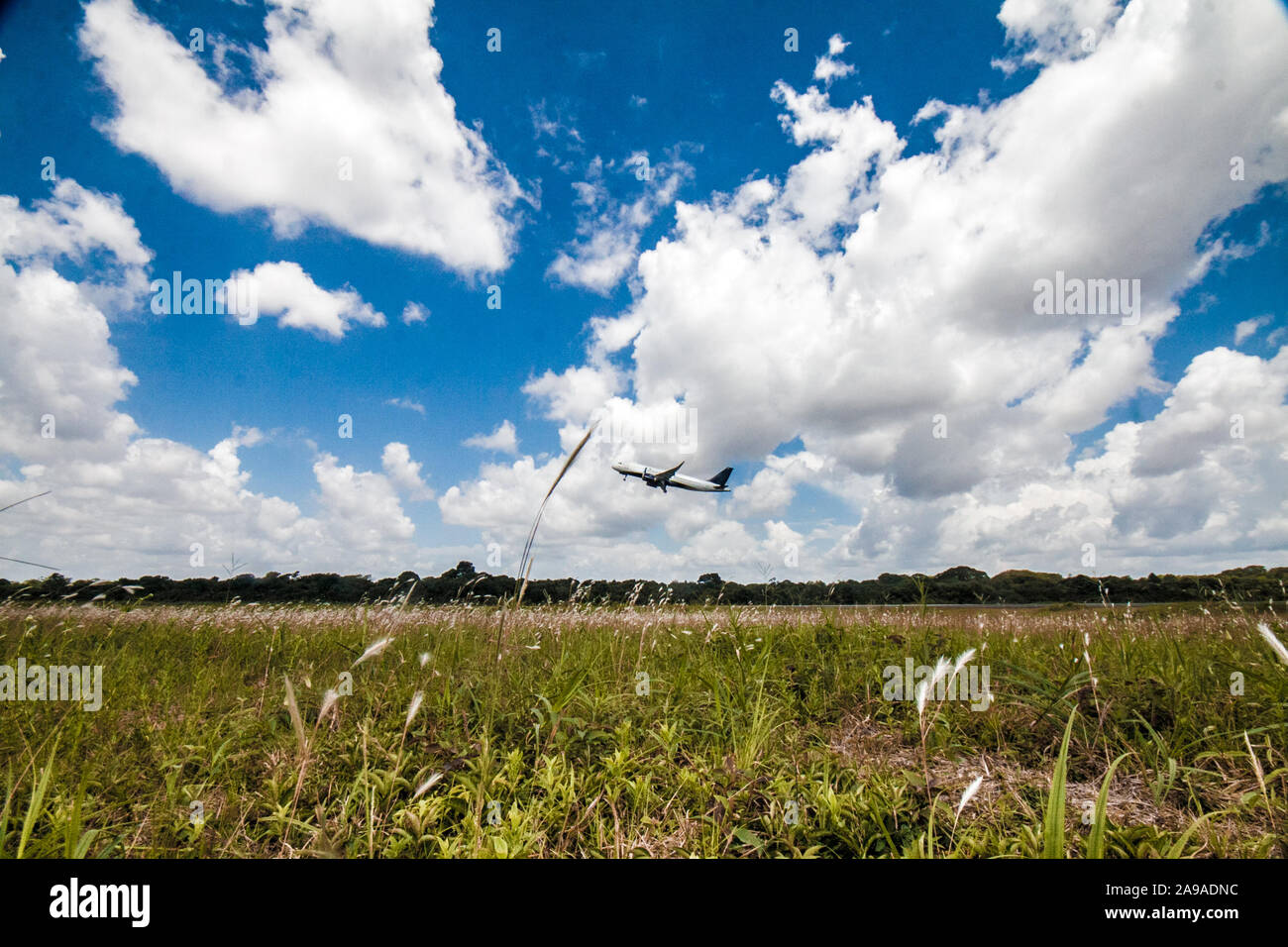 Commercial airplane taking off at Belem International Airport ready to travel on a sunny day through the grasses of the runway Stock Photo