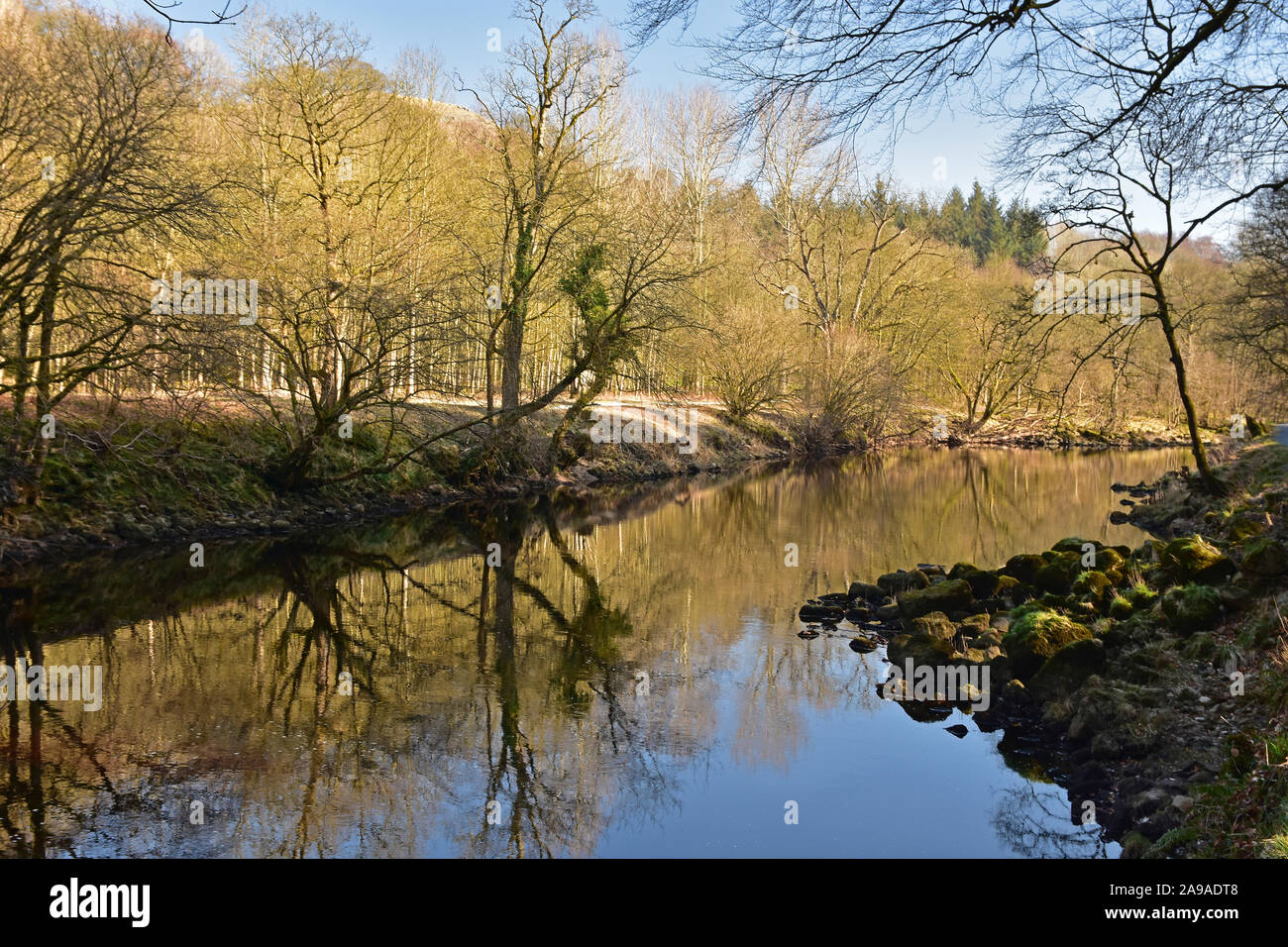 Reflections of trees, River Wharfe near Bolton Abbey Stock Photo