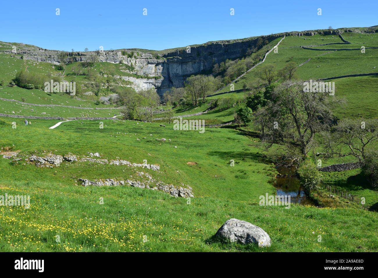 Malham Cove in Summer, North Yorkshire Stock Photo Alamy