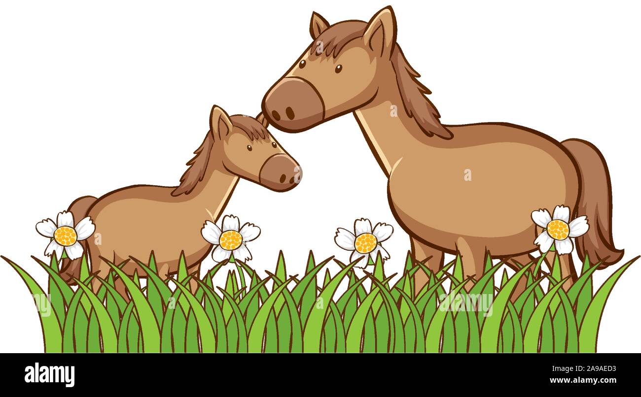 Isolated picture of two horses illustration Stock Vector Image & Art ...