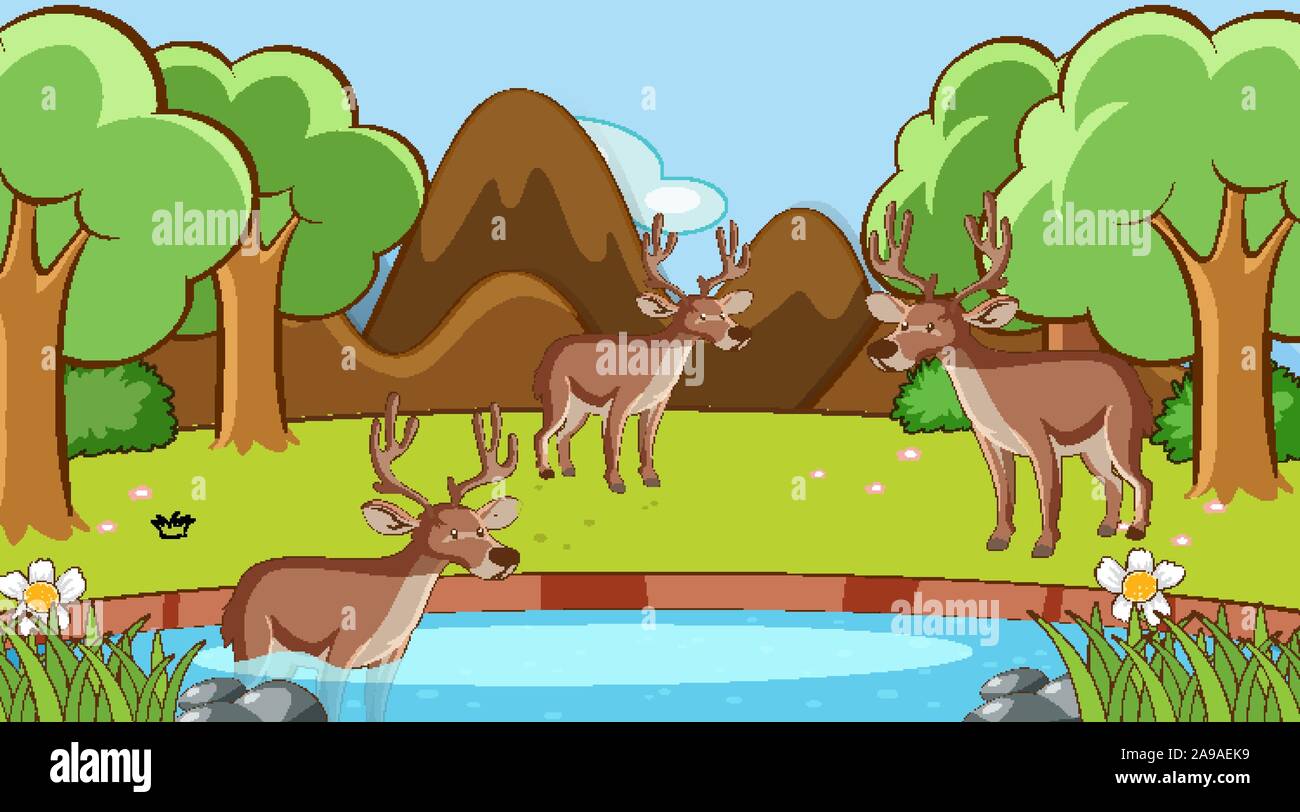 Scene with deers in the forest illustration Stock Vector Image & Art ...