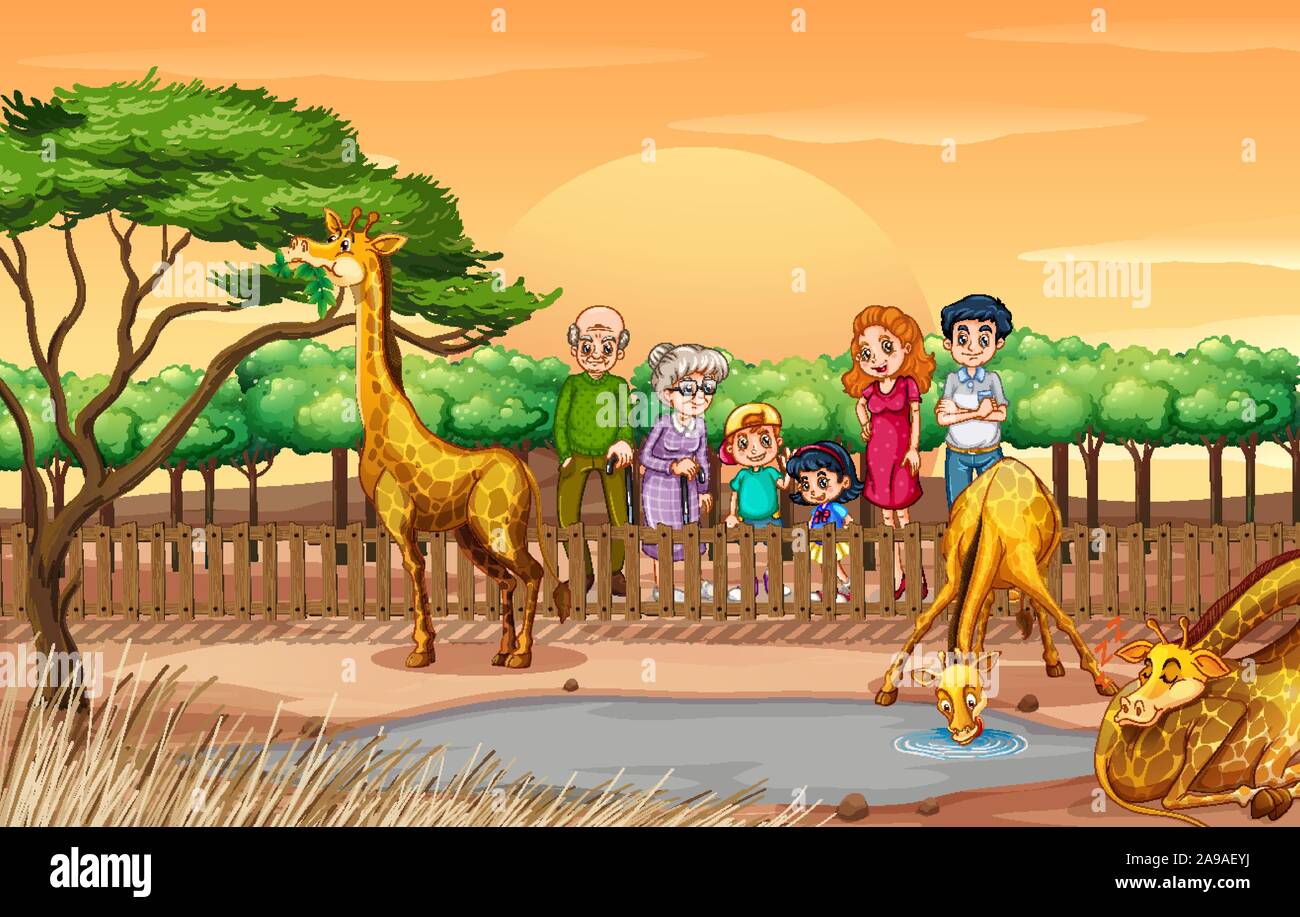 Scene with people looking at giraffes at the zoo illustration Stock Vector