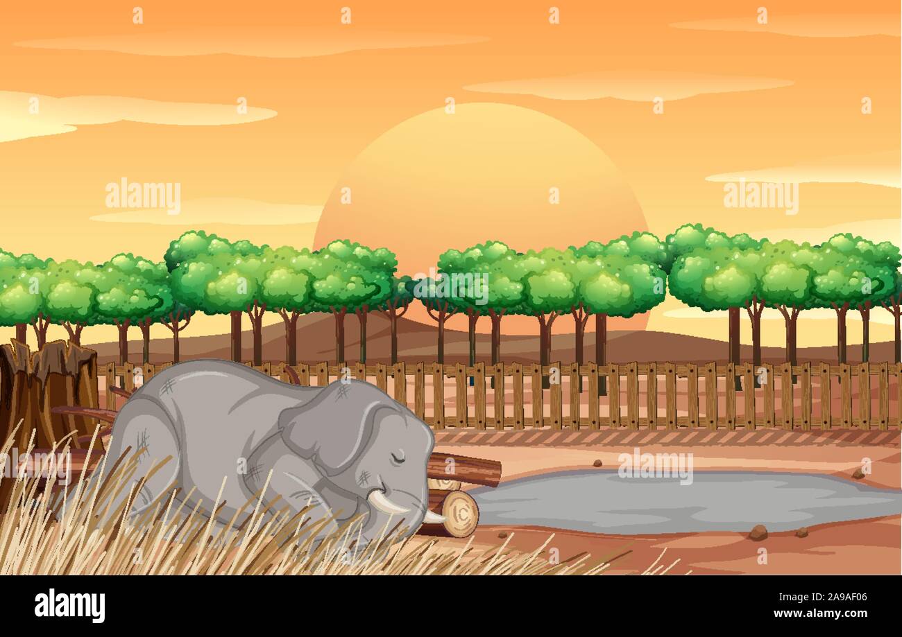 Zoo Cartoon Illustration With Safari Animals Elephant Elephant Clipart