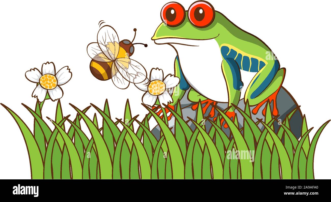 Isolated picture of green frog in garden illustration Stock Vector ...