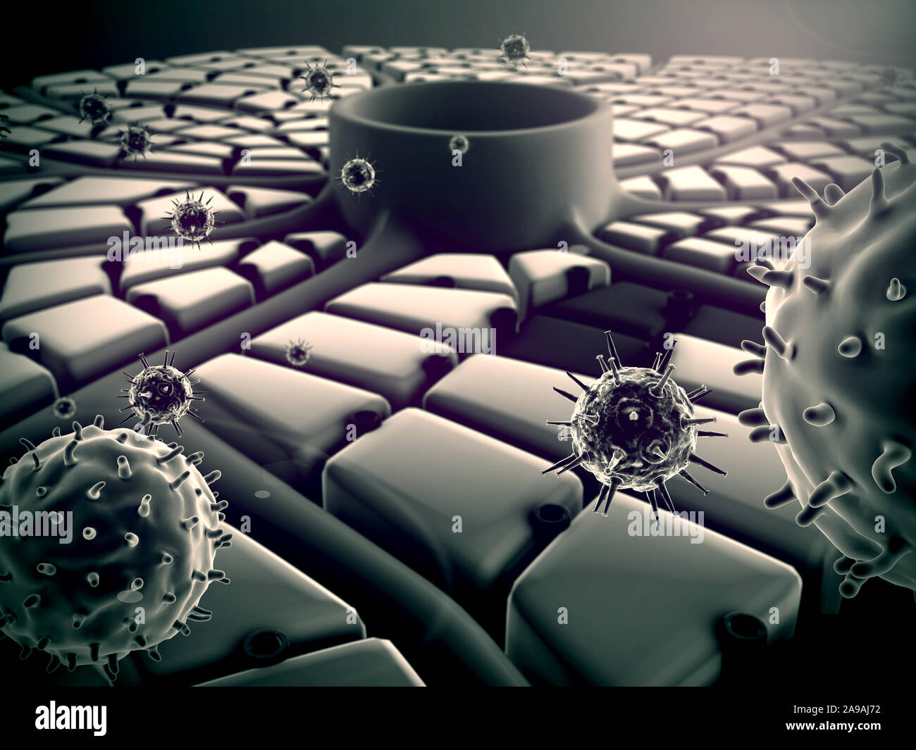 structure of the liver, virus attack the liver, Human Immune System