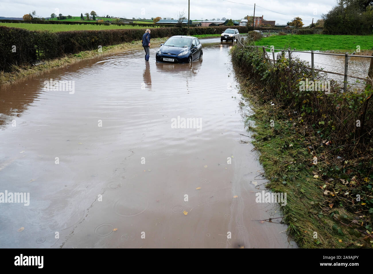 Bodenham, Herefordshire, UK - Thursday 14th November 2019 - A motorist stops to help the occupants of a small blue Ford Fiesta car stuck in deep water on a rural road near the village of Bodenham after further rain fell onto already saturated fields. Photo Steven May / Alamy Live News Stock Photo