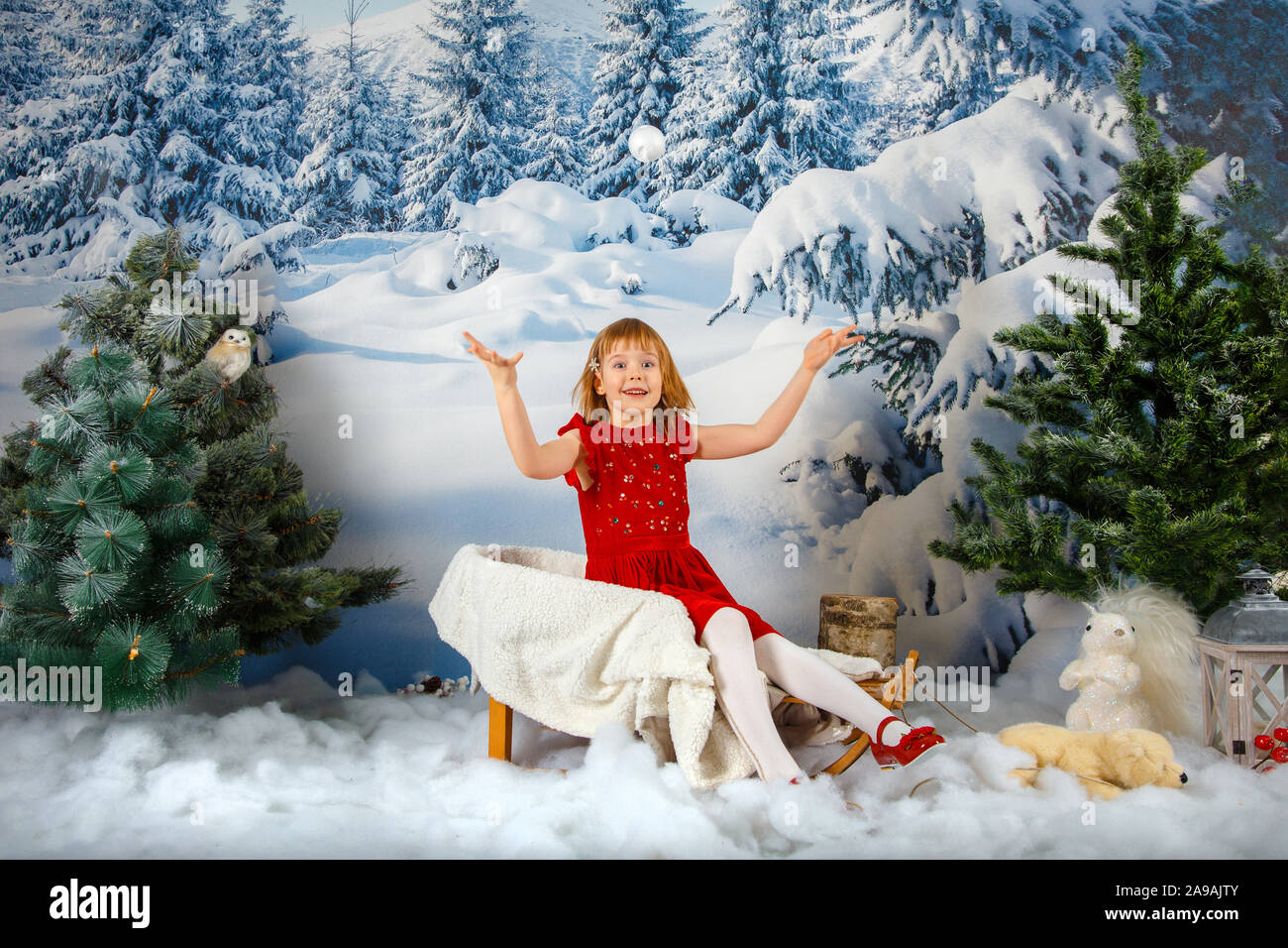 The girl in red on the background of the winter forest. Stock Photo