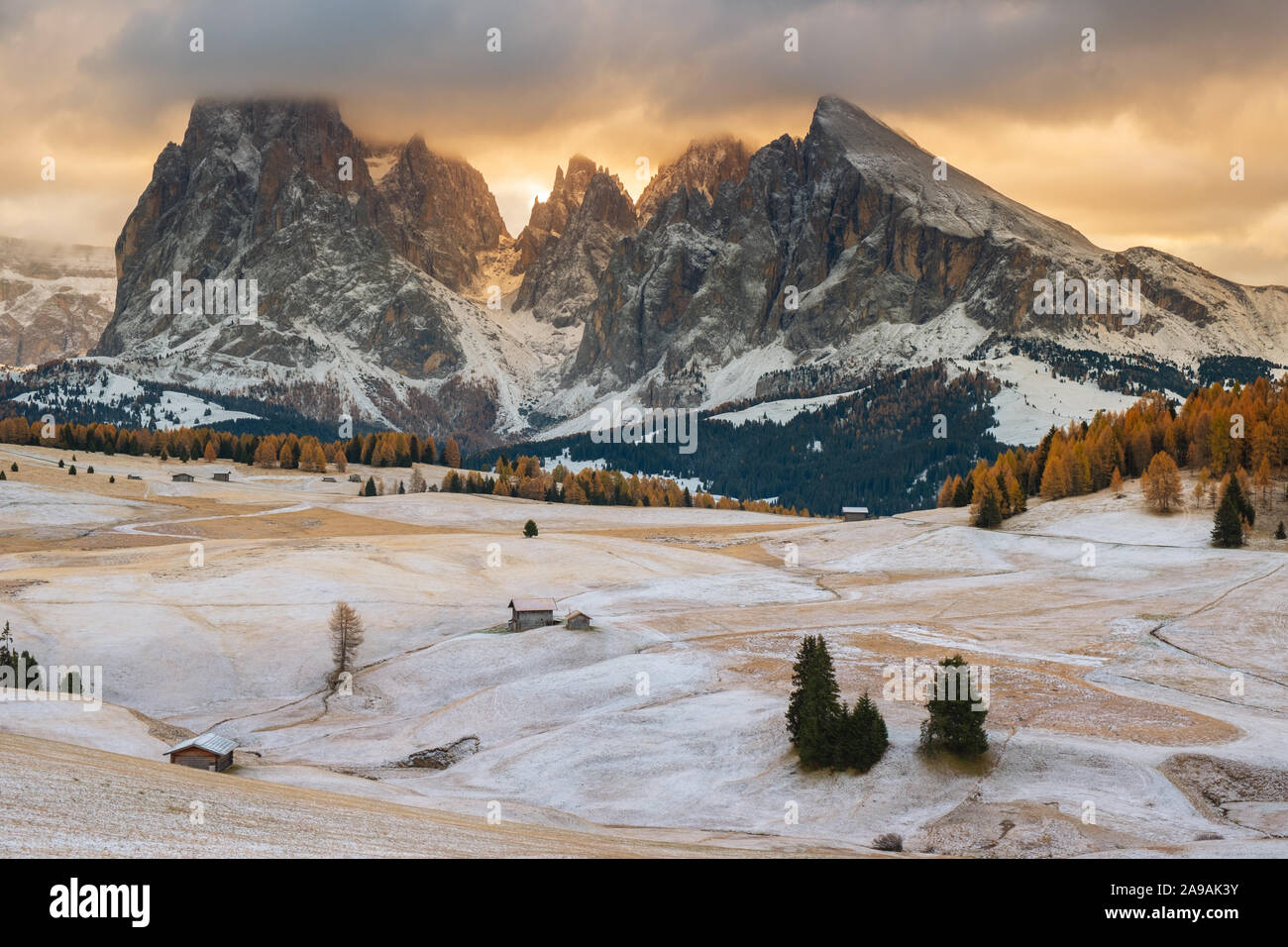 Beautiful autumn scenery in Alpe di Siusi or Seiser Alm with Sassolungo - Langkofel mountain group in background in Dolomite Alps, South Tyrol, Italy. Stock Photo
