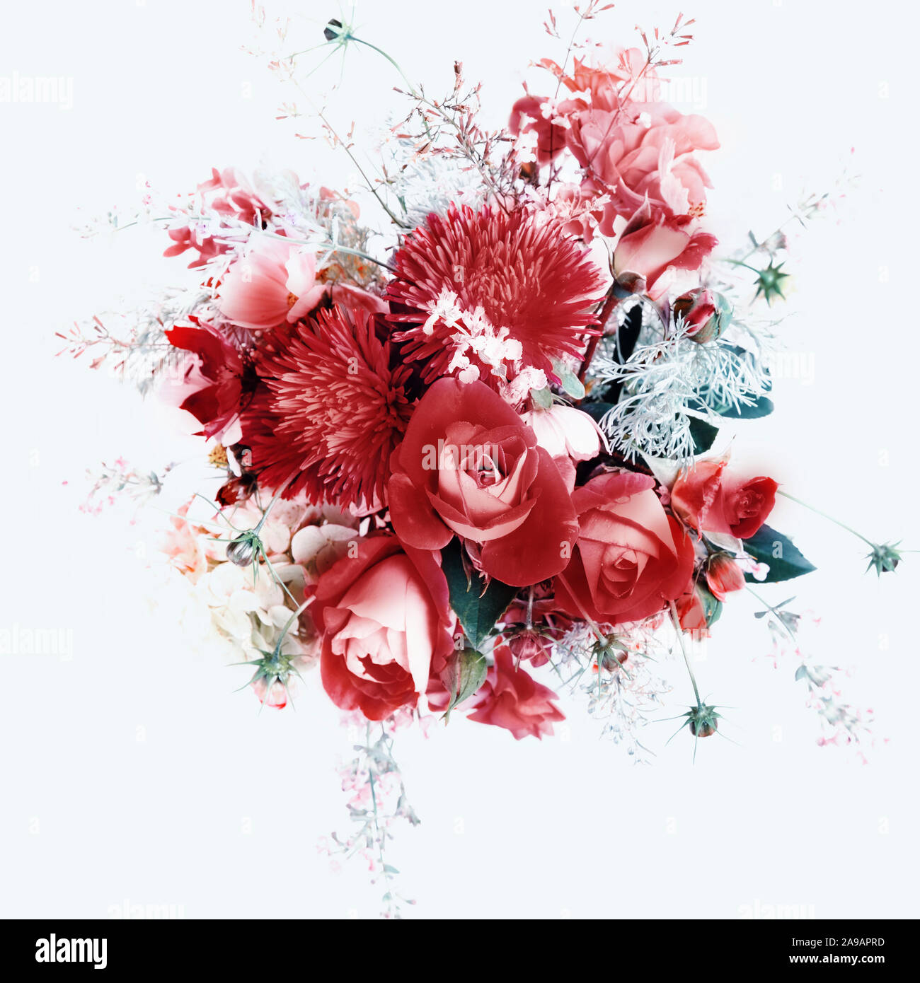 Bouquet of flowers in red, shades of red, Colors autumn winter 2020. Roses, berries, chrysanthemum, asters, kosmeja, hydrangea, wormwood. Stock Photo