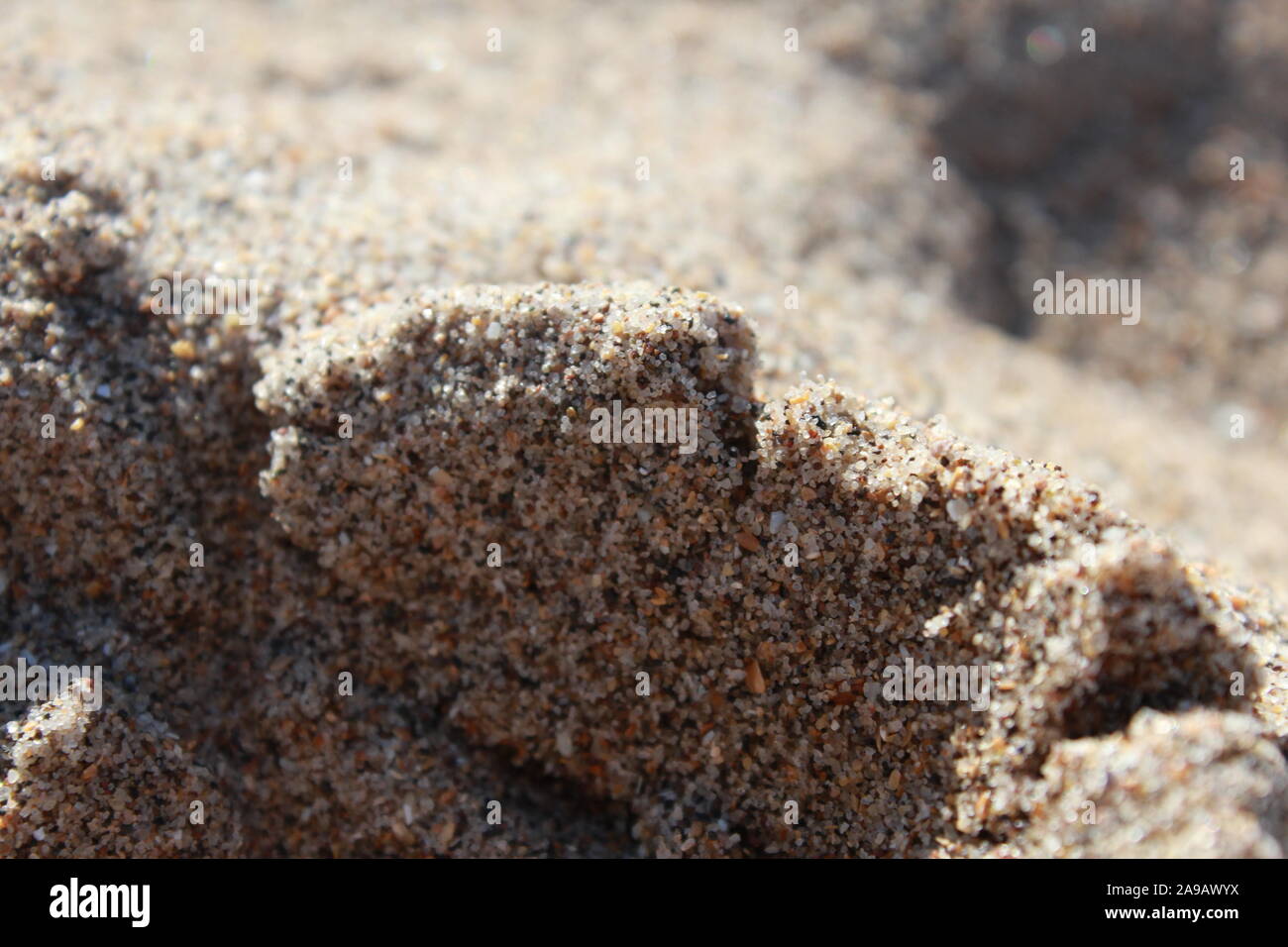 Micro photography of sand hi-res stock photography and images - Alamy