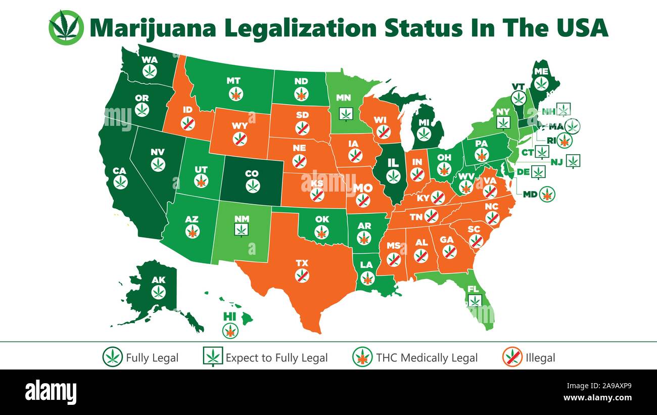 marijuana (ganja) legalization status in the USA map infographic style illustration Stock Vector