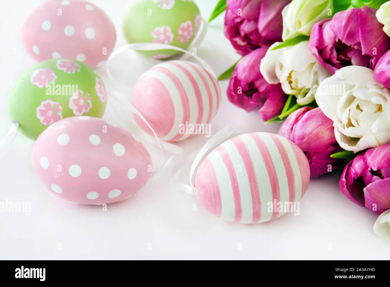 Easter eggs and tulips against white background Stock Photo - Alamy