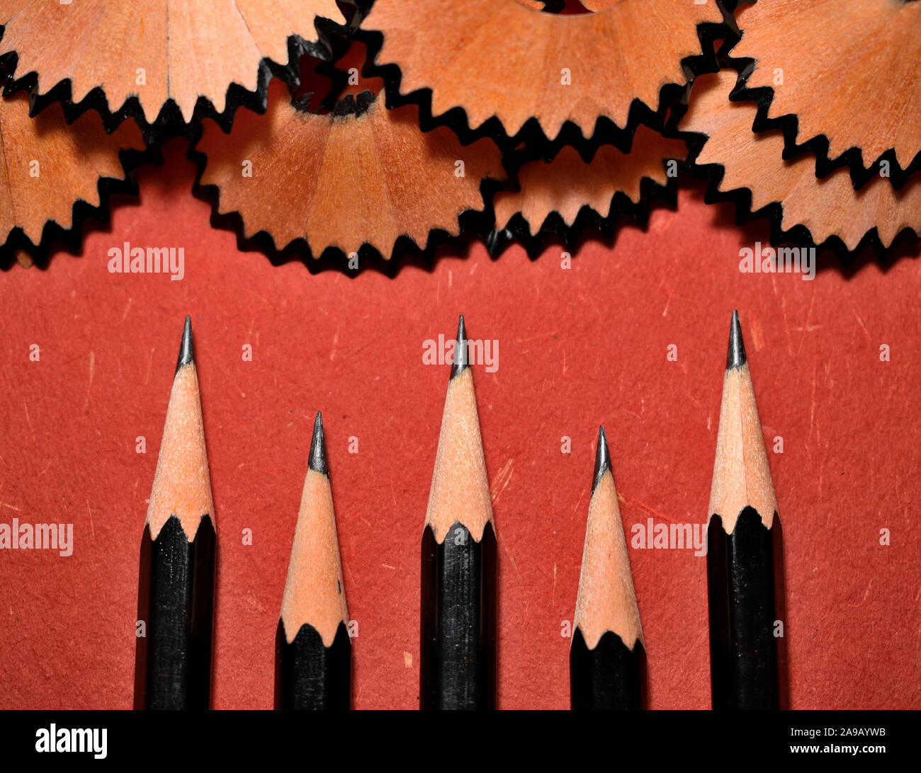 Black lead pencils and their shavings on red background. Stock Photo