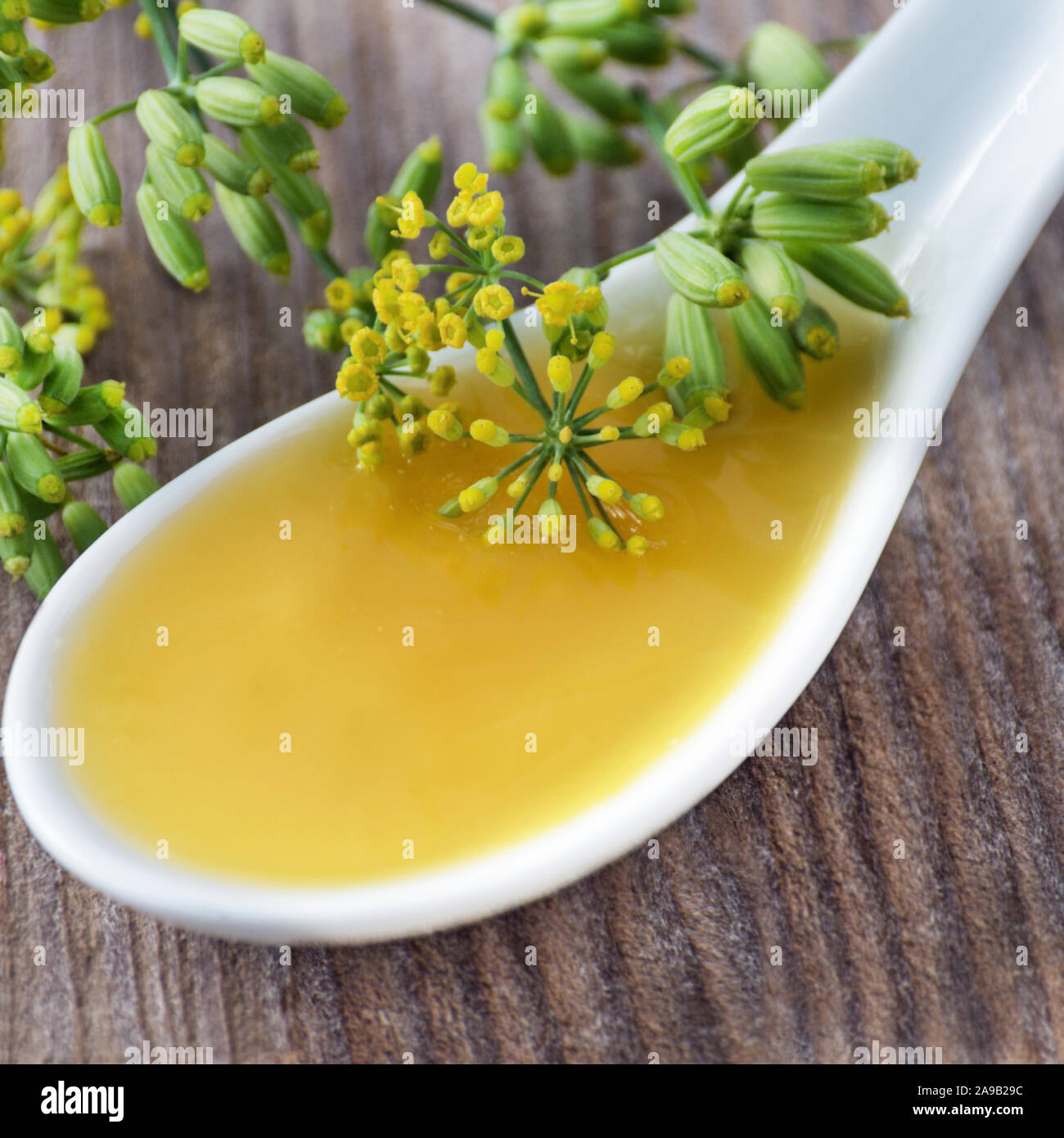 Fennel Honey and spoon Stock Photo Alamy