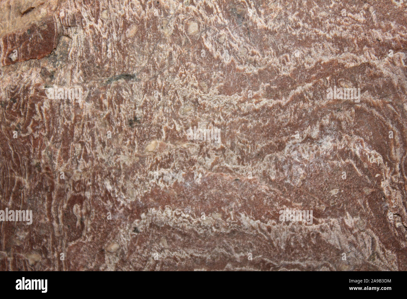 Welded Ignimbrite - Deschutes, Ellensberg Formation, Washington, USA Stock Photo