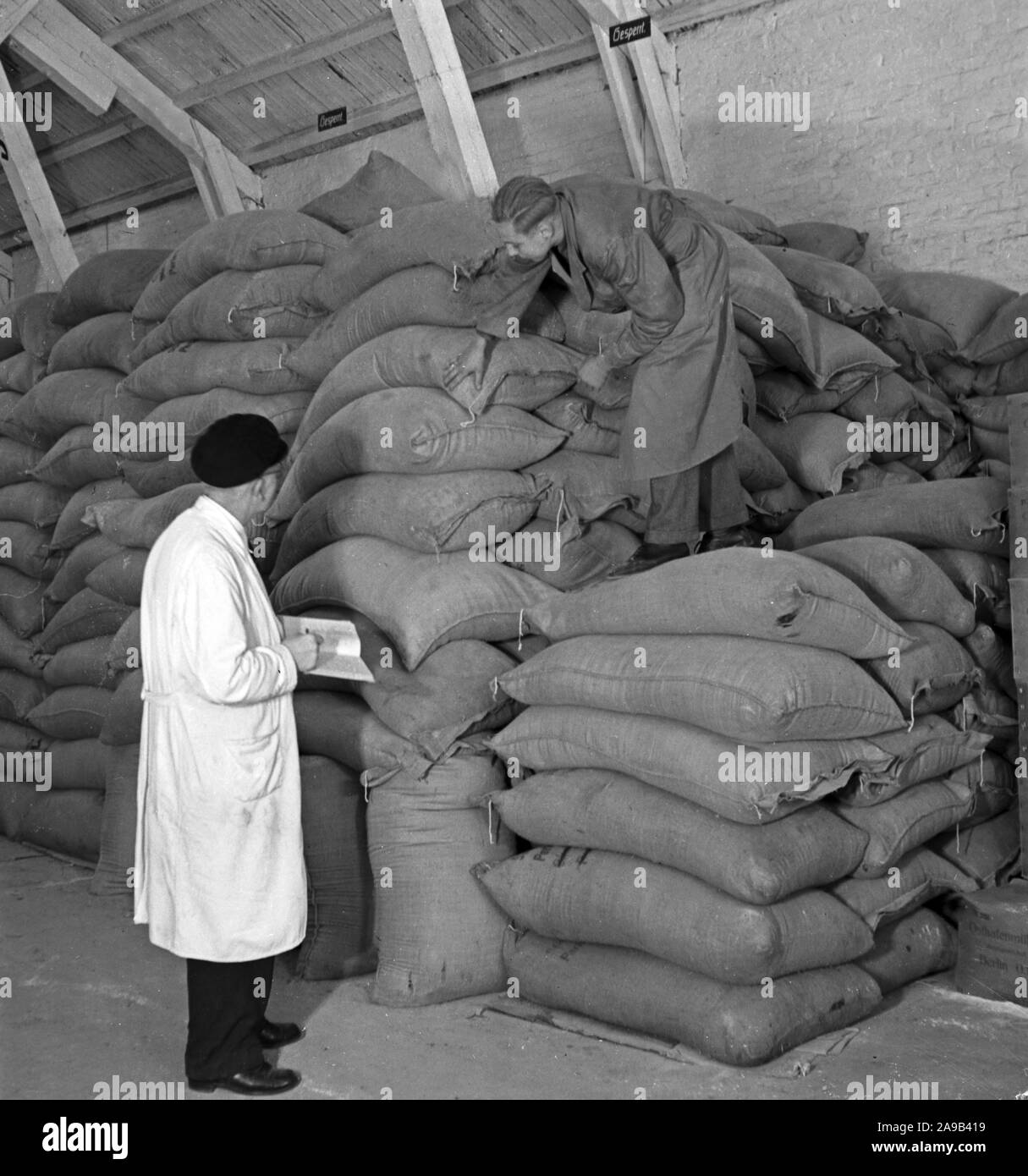 Apprentice and instructor packing and counting sacks at the warehouse, Germany 1940s. Stock Photo