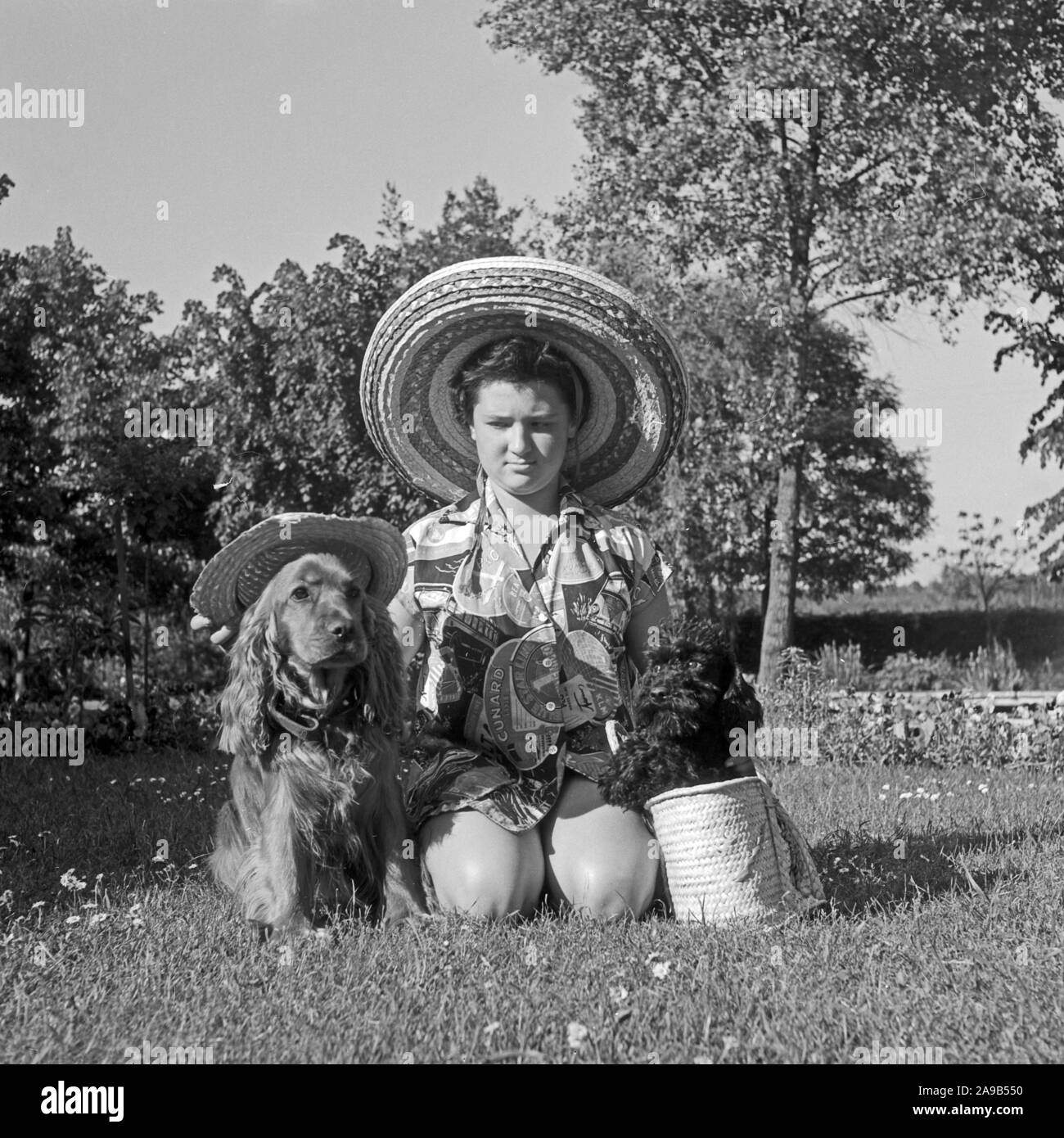 A young girl and her cocker and poodle sitting in the garden, Germany 1959 Stock Photo