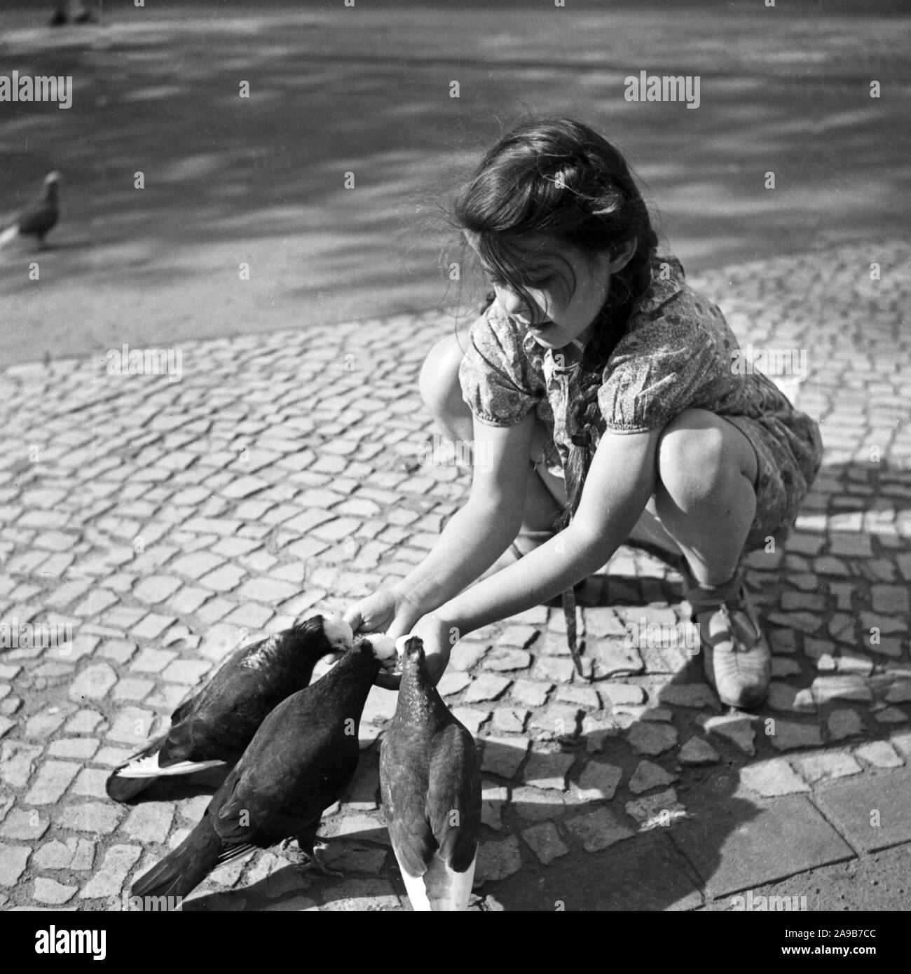 A little girl feeding pigeons on the street, Germany 1930s Stock Photo ...