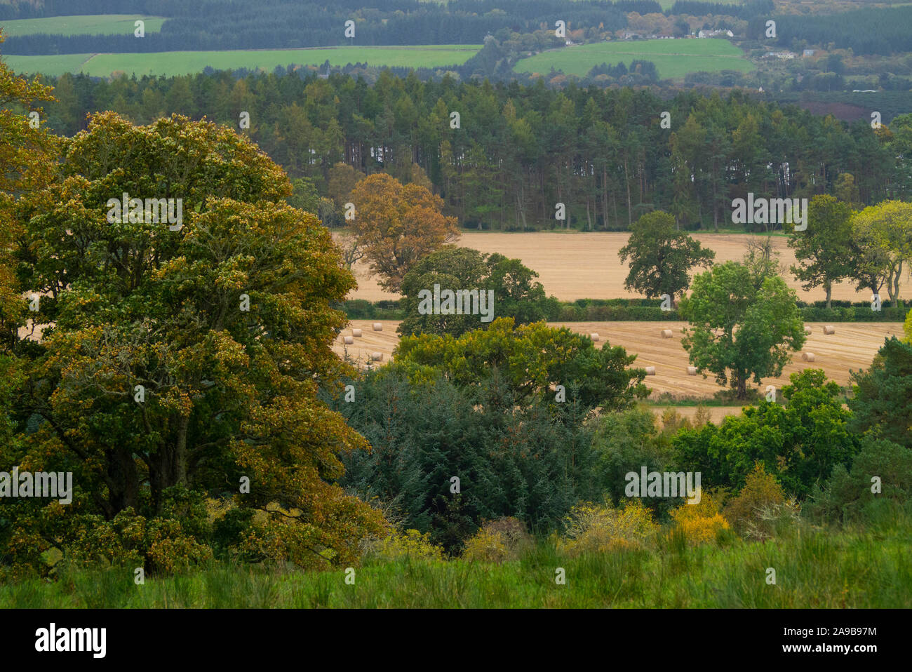 Autumn scenes in the Dornoch Firth Sutherland Scotland UK Stock Photo