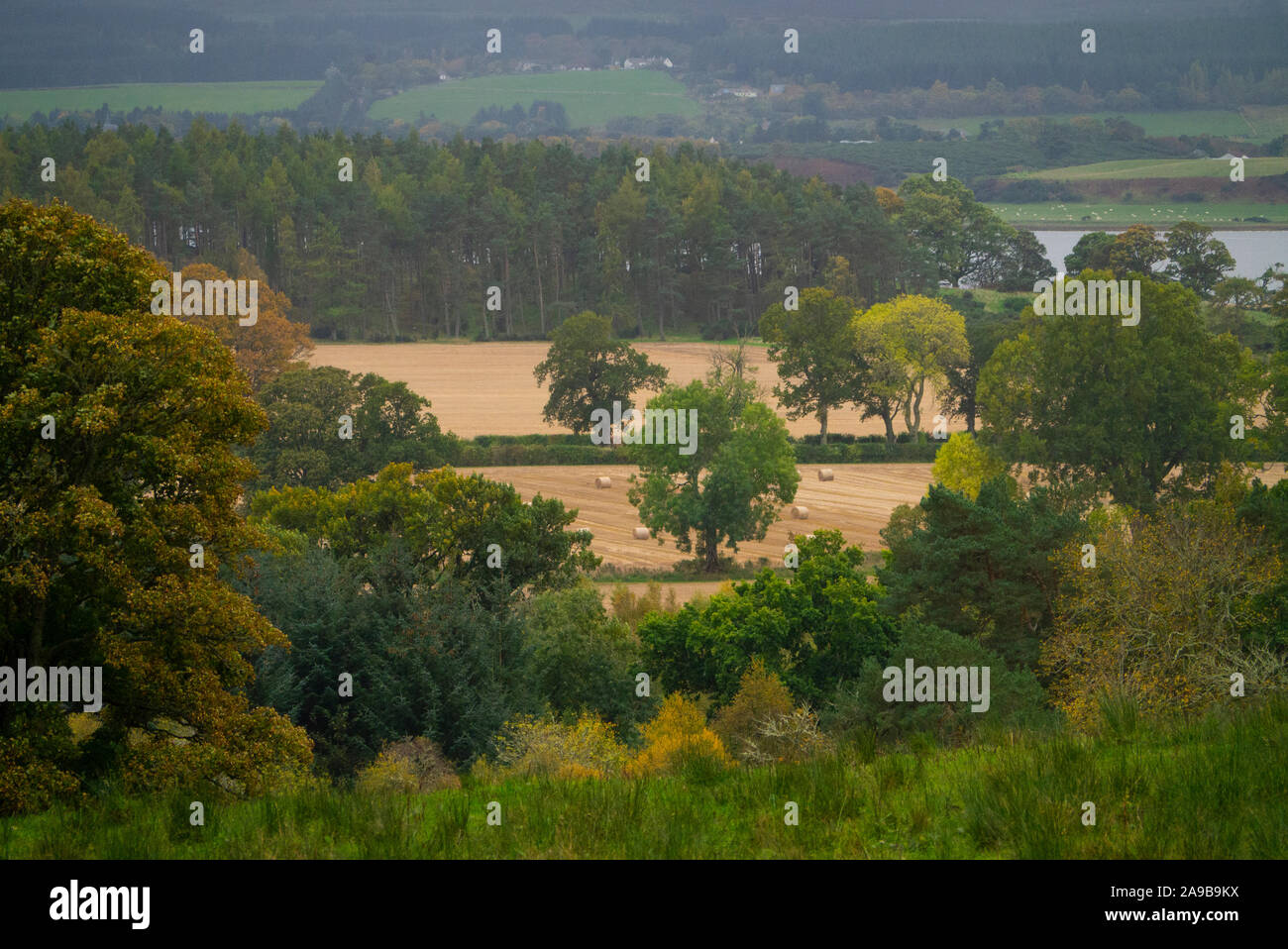 Autumn scenes in the Dornoch Firth Sutherland Scotland UK Stock Photo
