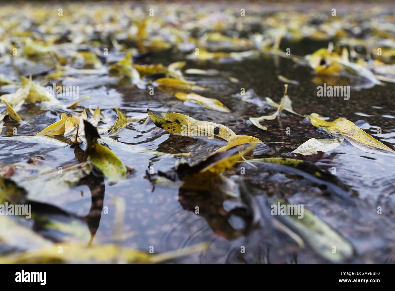 Rainy eeather hires stock photography and images Alamy