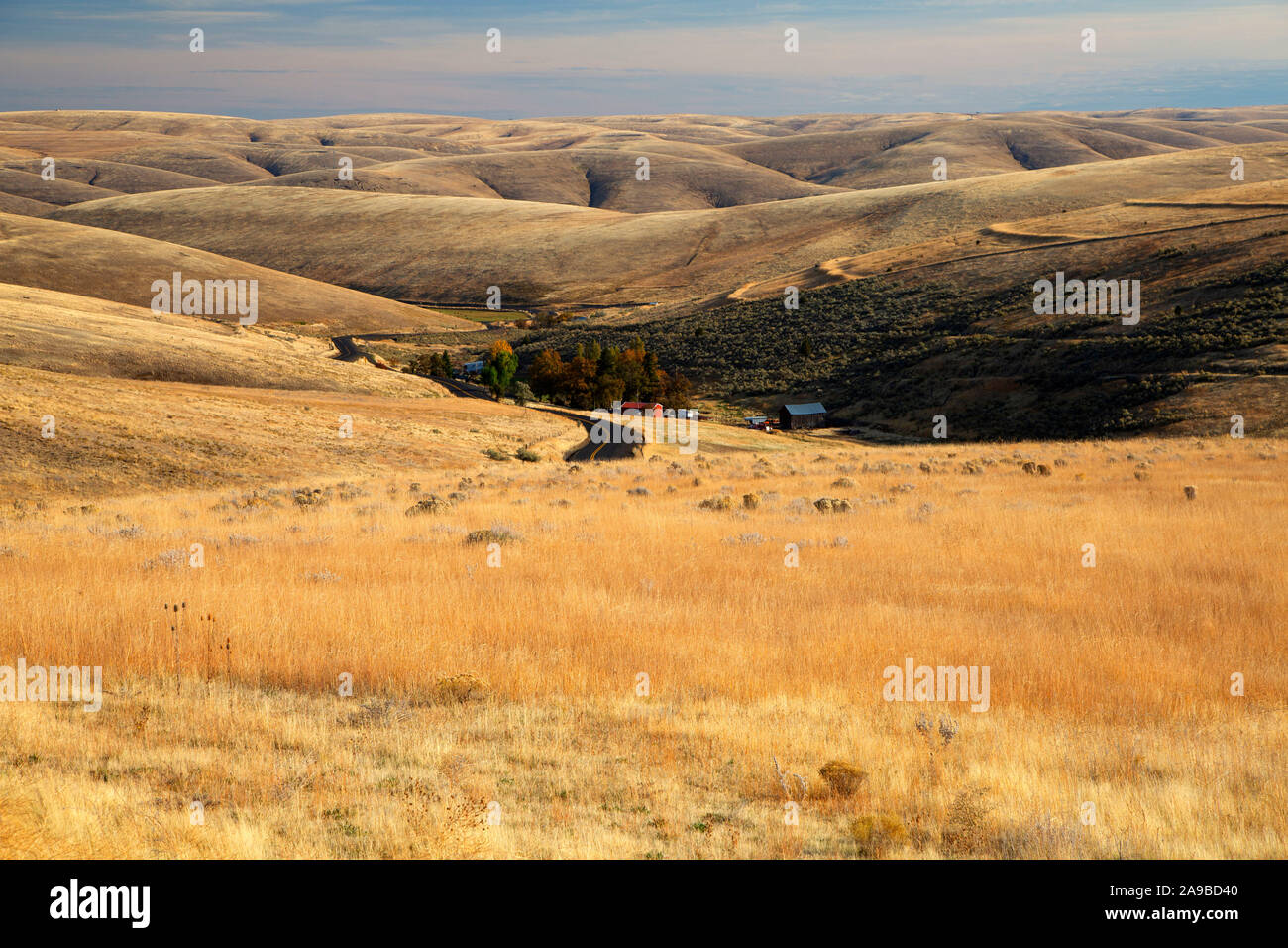 Grassland hills, Morrow County, Oregon Stock Photo Alamy