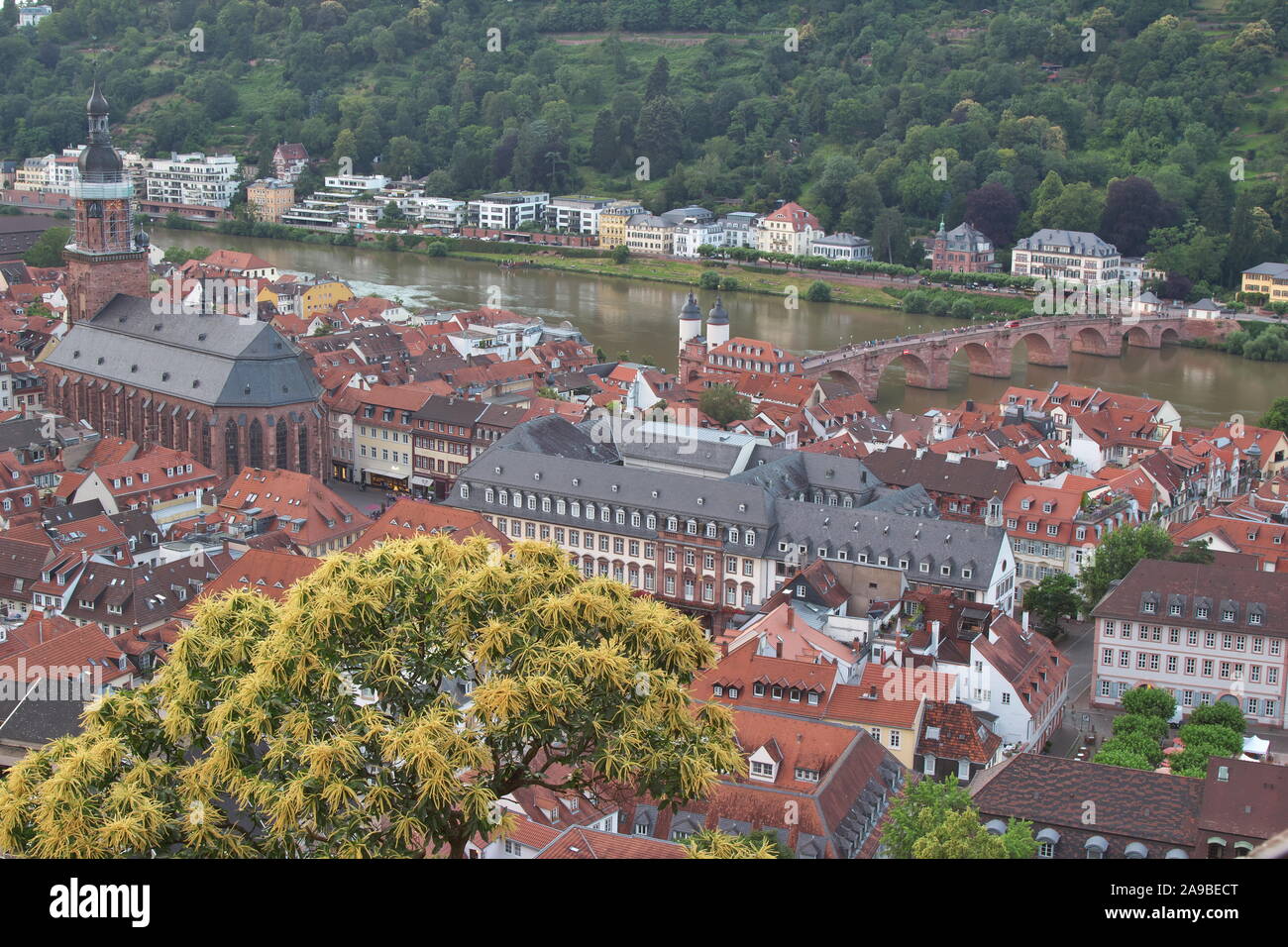 Heidelberg City Center Stock Photo