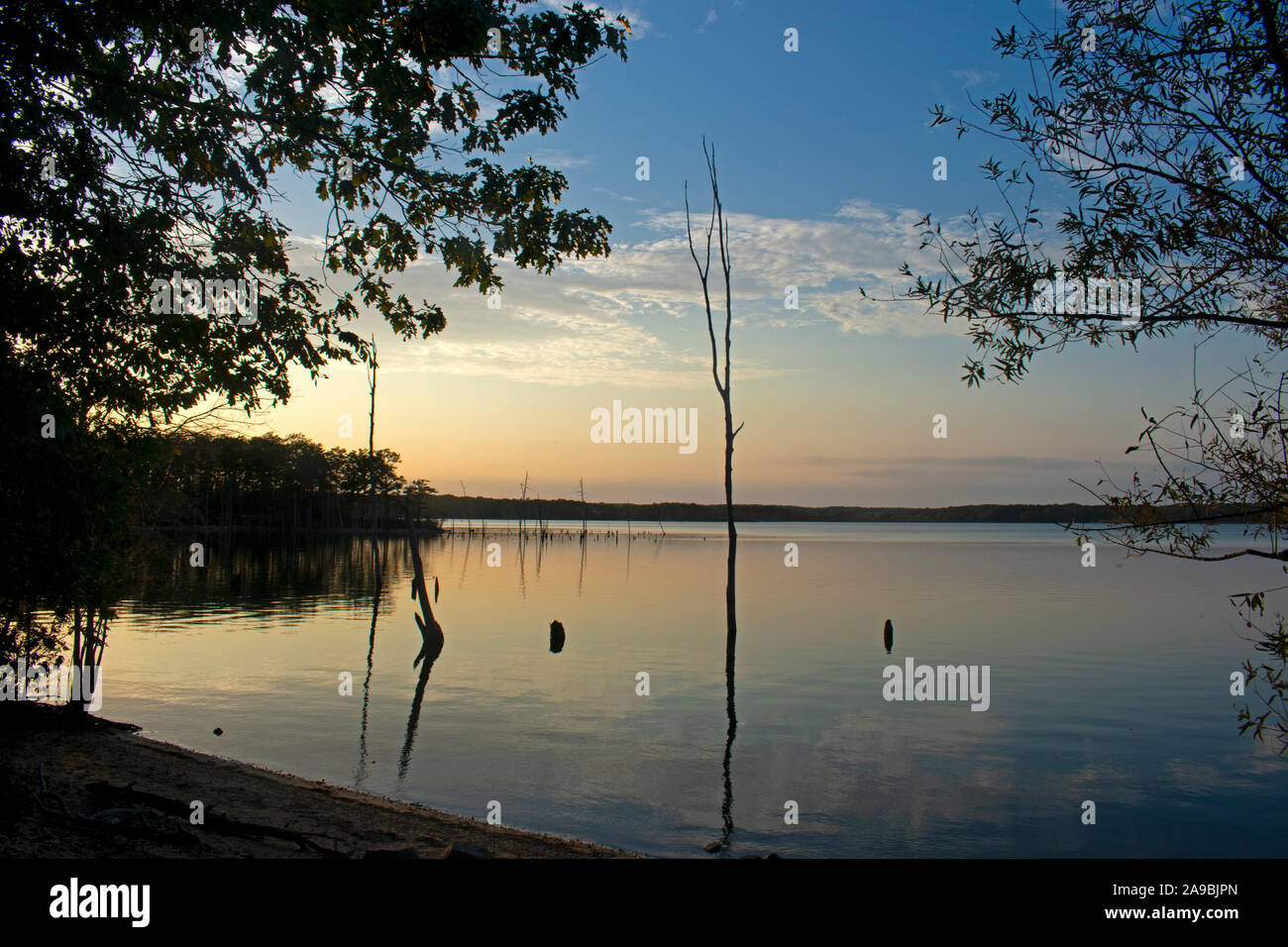 Manasquan Reservoir in Howell, New Jersey, appears like a scene from an alien world -17 Stock Photo