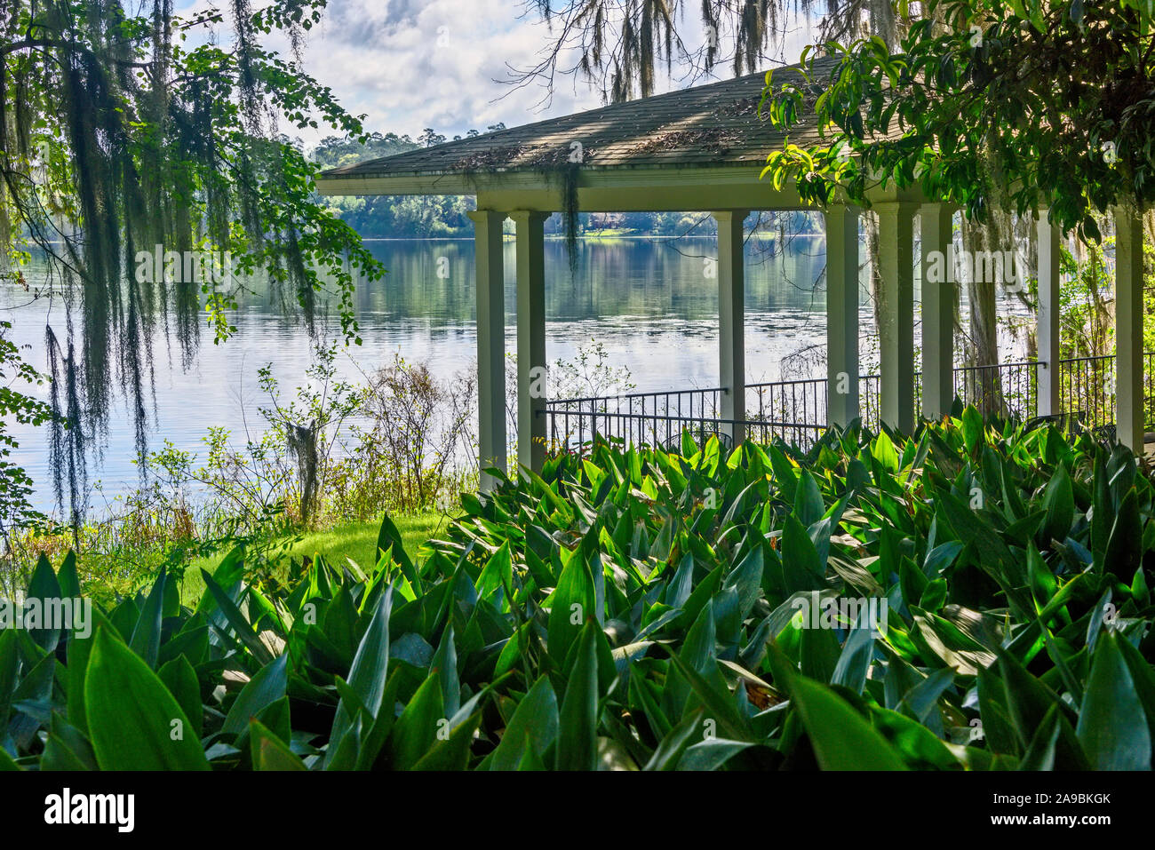 Tropical vegetation on lake with covered gazebo Stock Photo