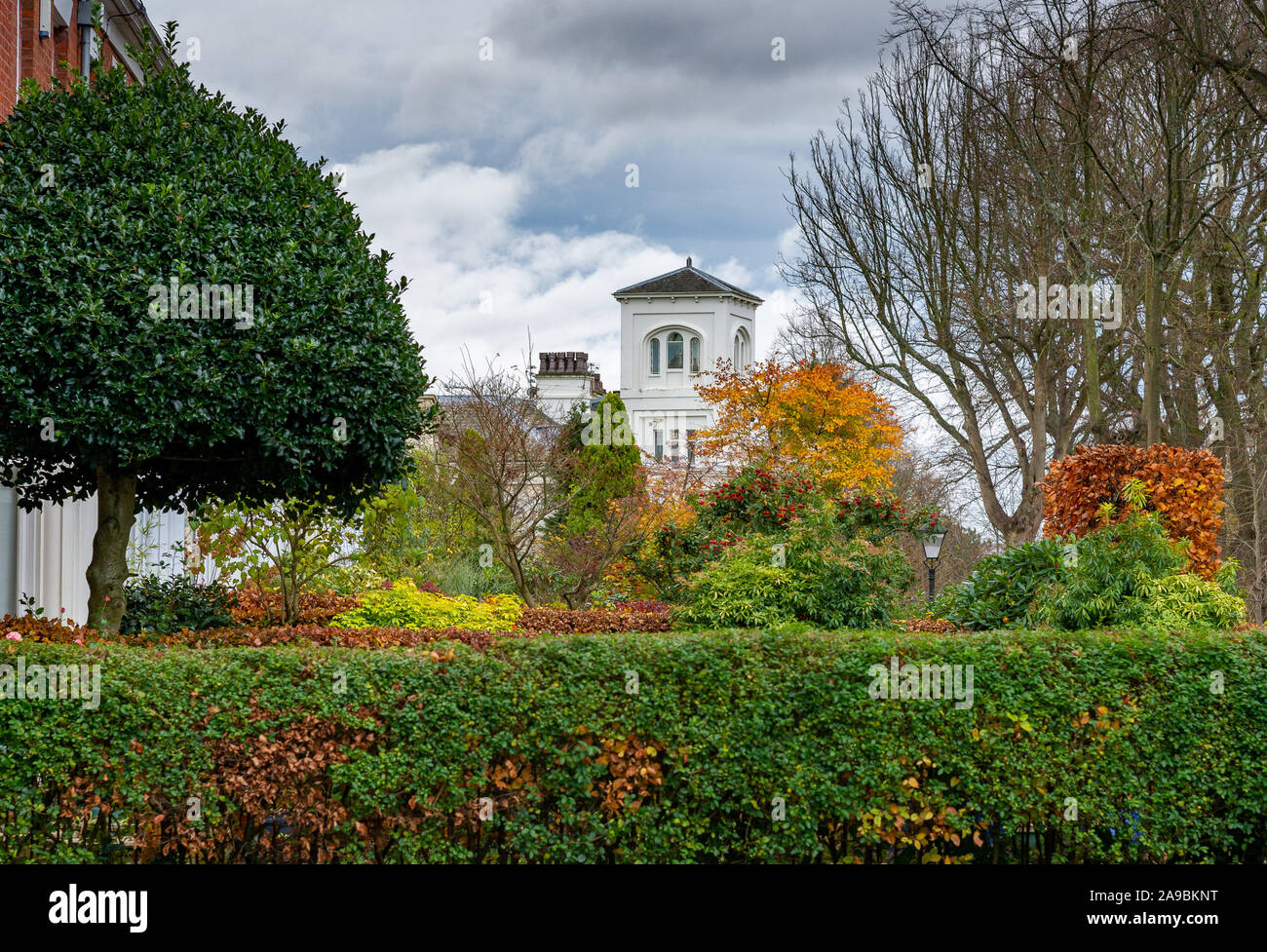 Preston, Lancashire. 14th Nov 2019. UK Weather: Gardens near Avenham Park showing the last colours of autumn, Preston, Lancashire. Credit: John Eveson/Alamy Live News Stock Photo