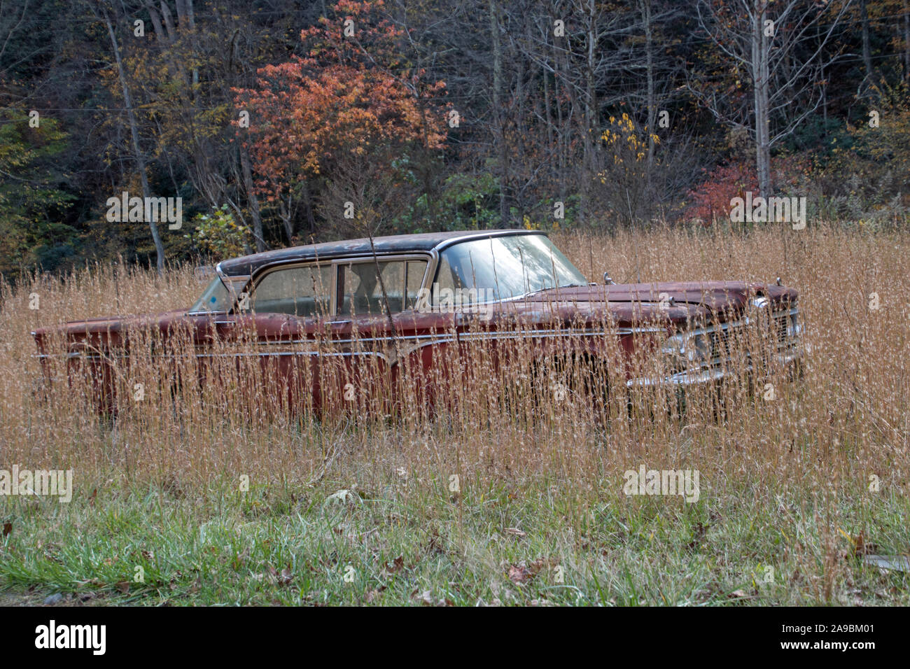 Car in a field hi-res stock photography and images - Alamy